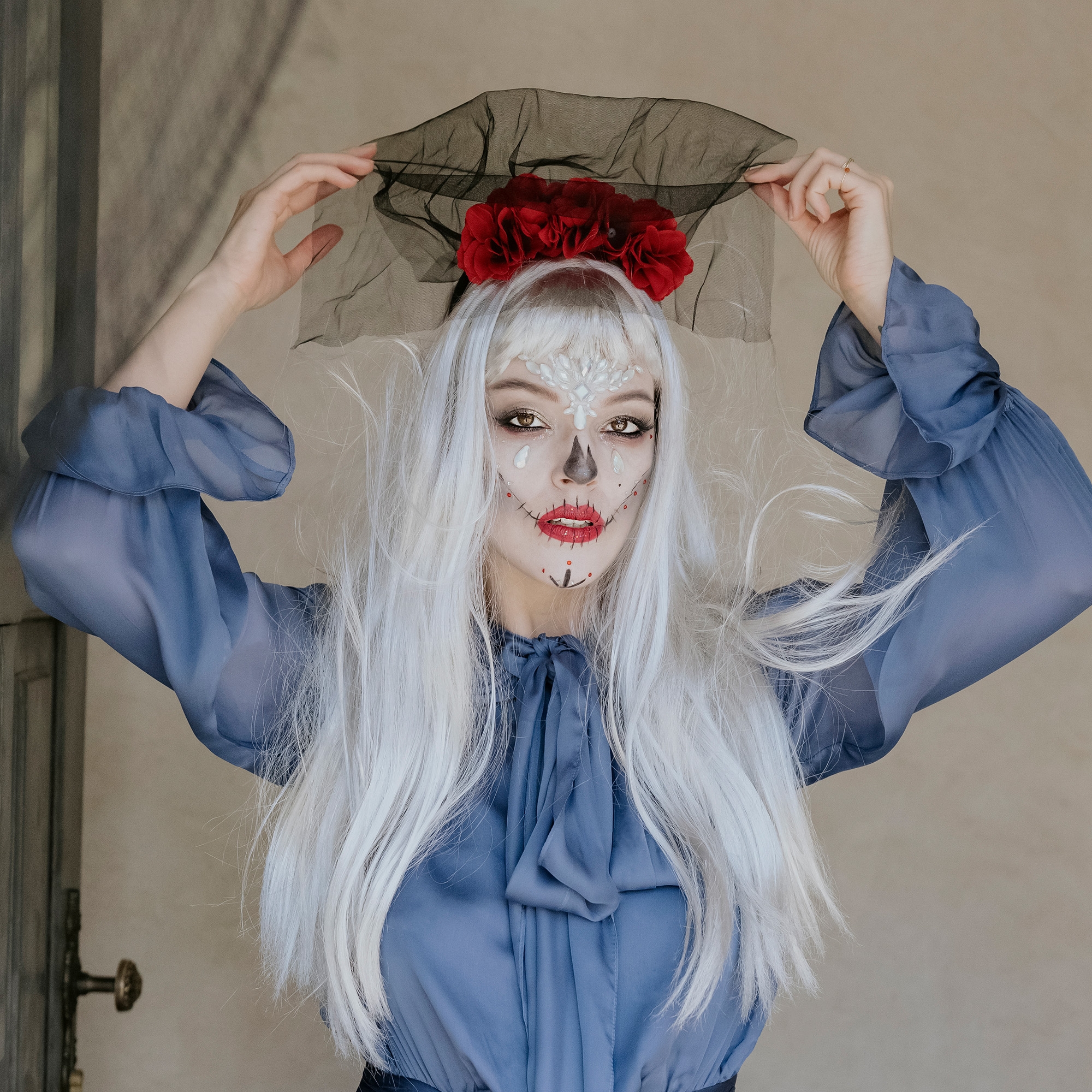 Haarreifen "Schleier und Rosen" kostüm, Person, Erwachsener, Weiblich, Frau