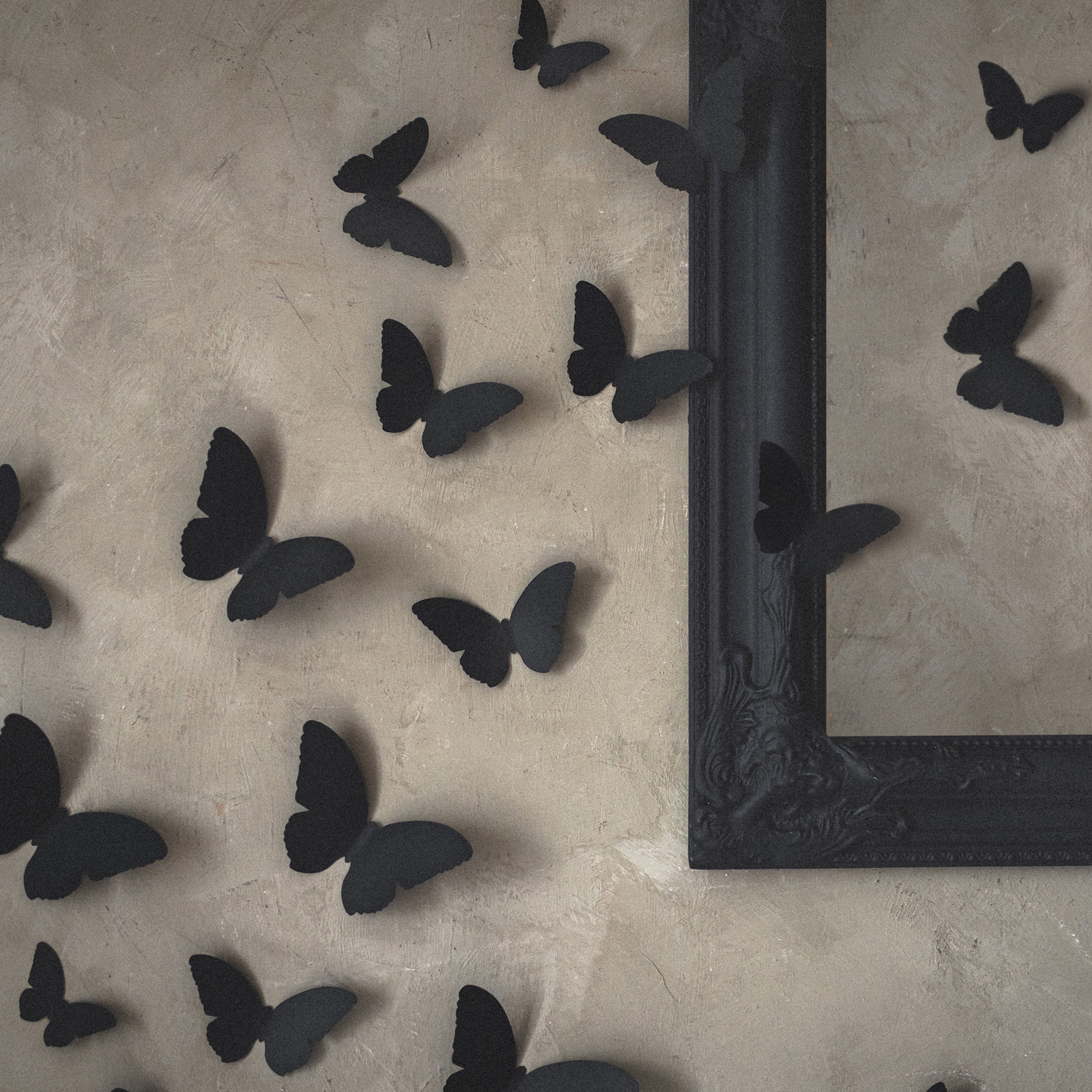 30 Papiermotten 6-12cm 30 Papiermotten 6-12cm