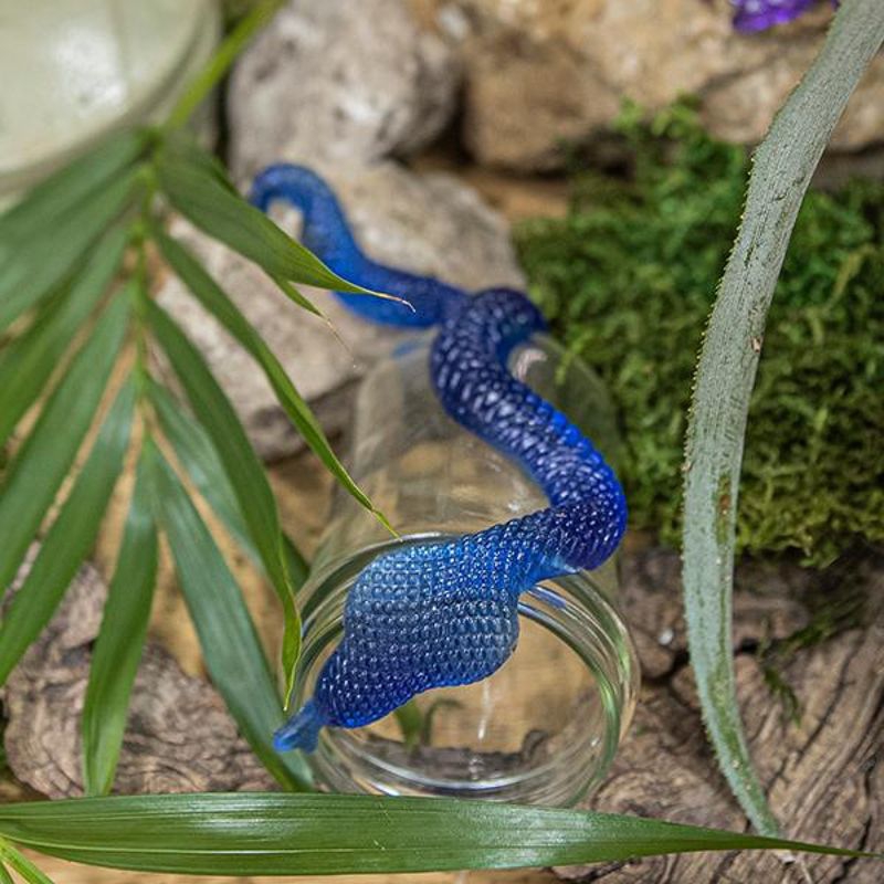 Sticky Giftschlangen Sticky Giftschlangen