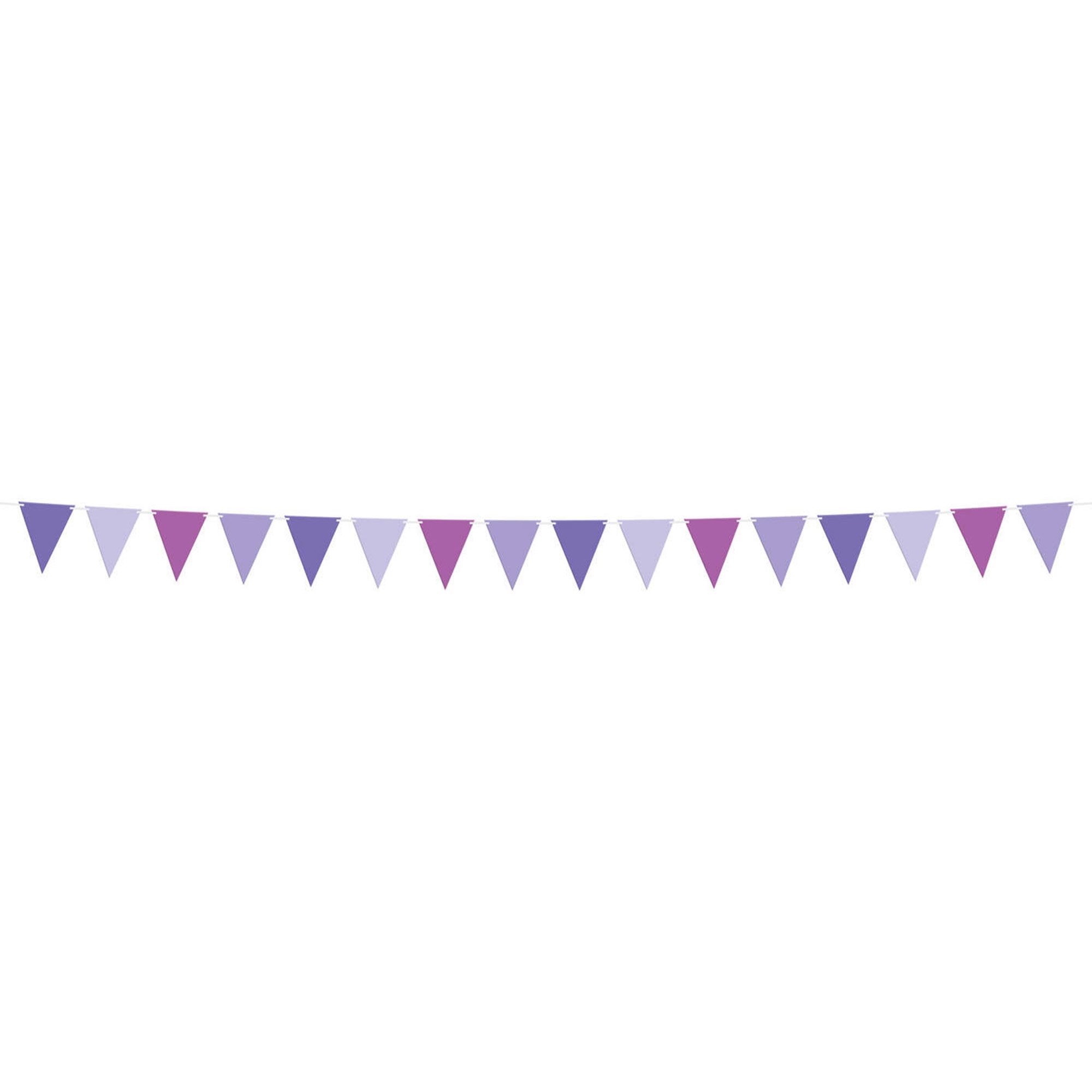 Flaggenbanner "Lila" 6m