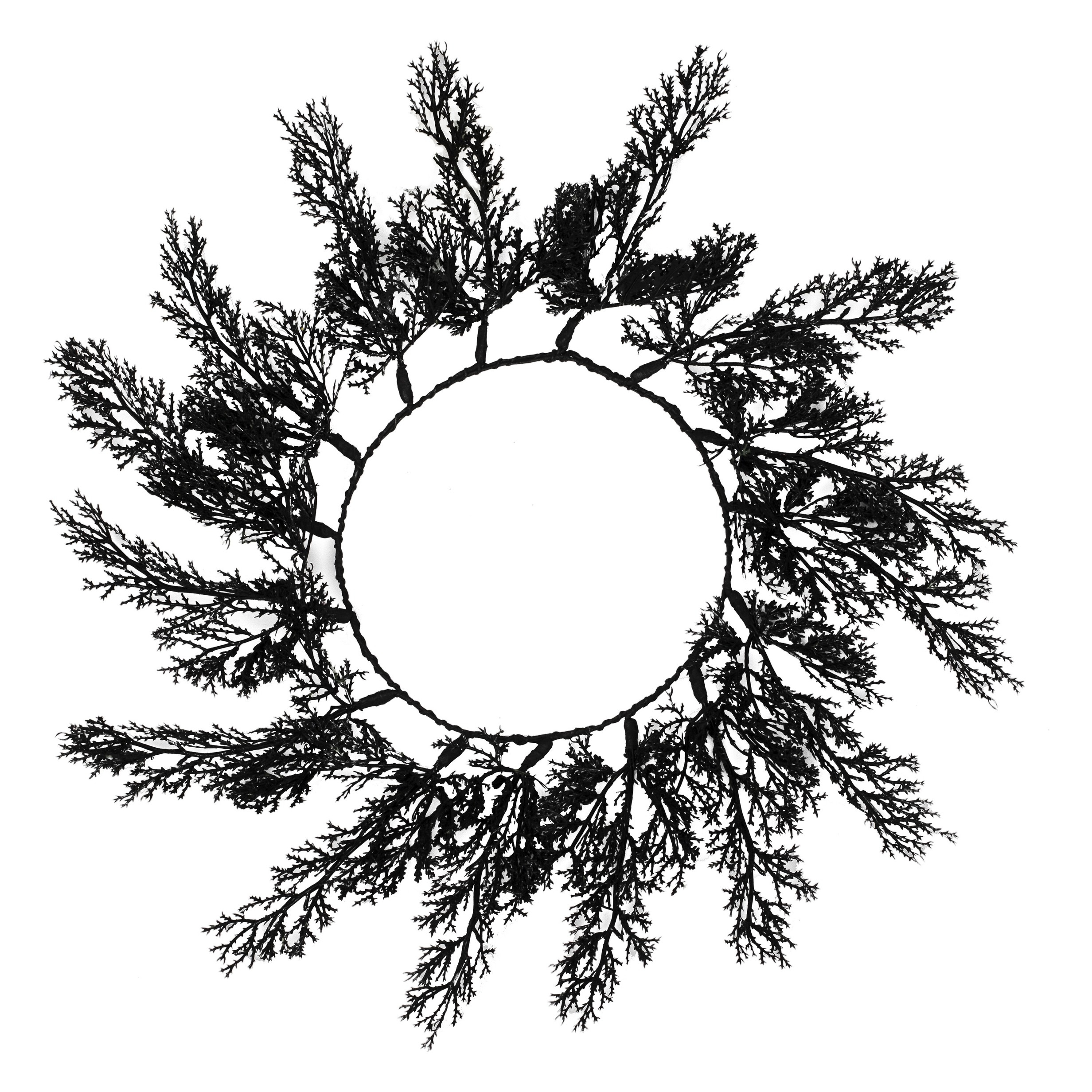 Kunstpflanze Halloween Tischset Schwarz Kunst, Zeichnen