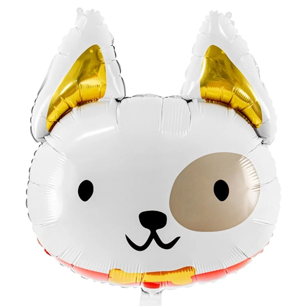 balloon, Hase, weiß, Gesicht, Fellstelle