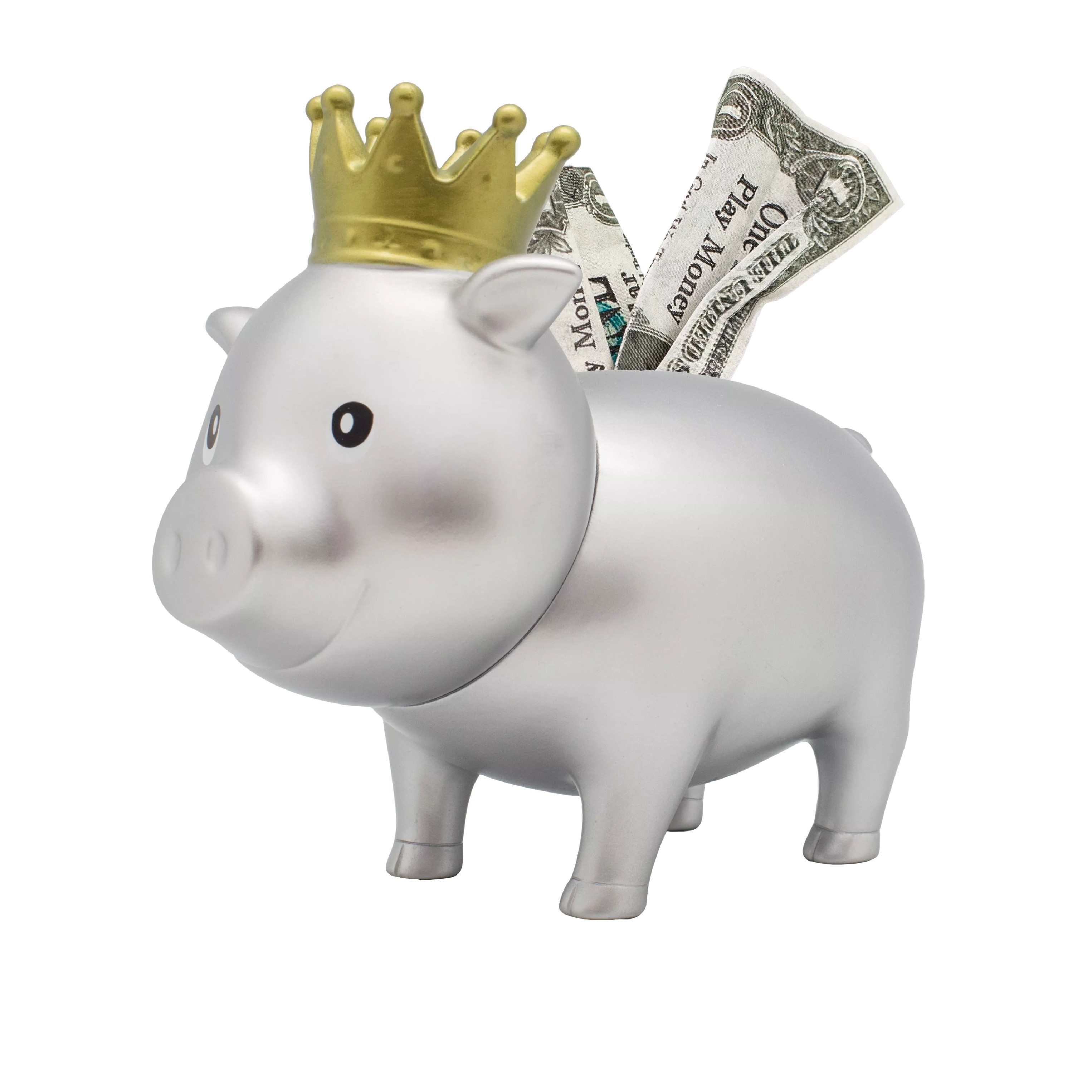 Tier, Säugetier, Schwein, Sparschwein