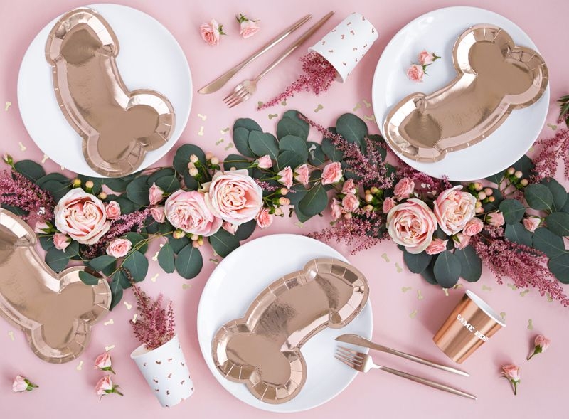 6 Pappteller "Same Penis forever" 6 Pappteller "Same Penis forever"