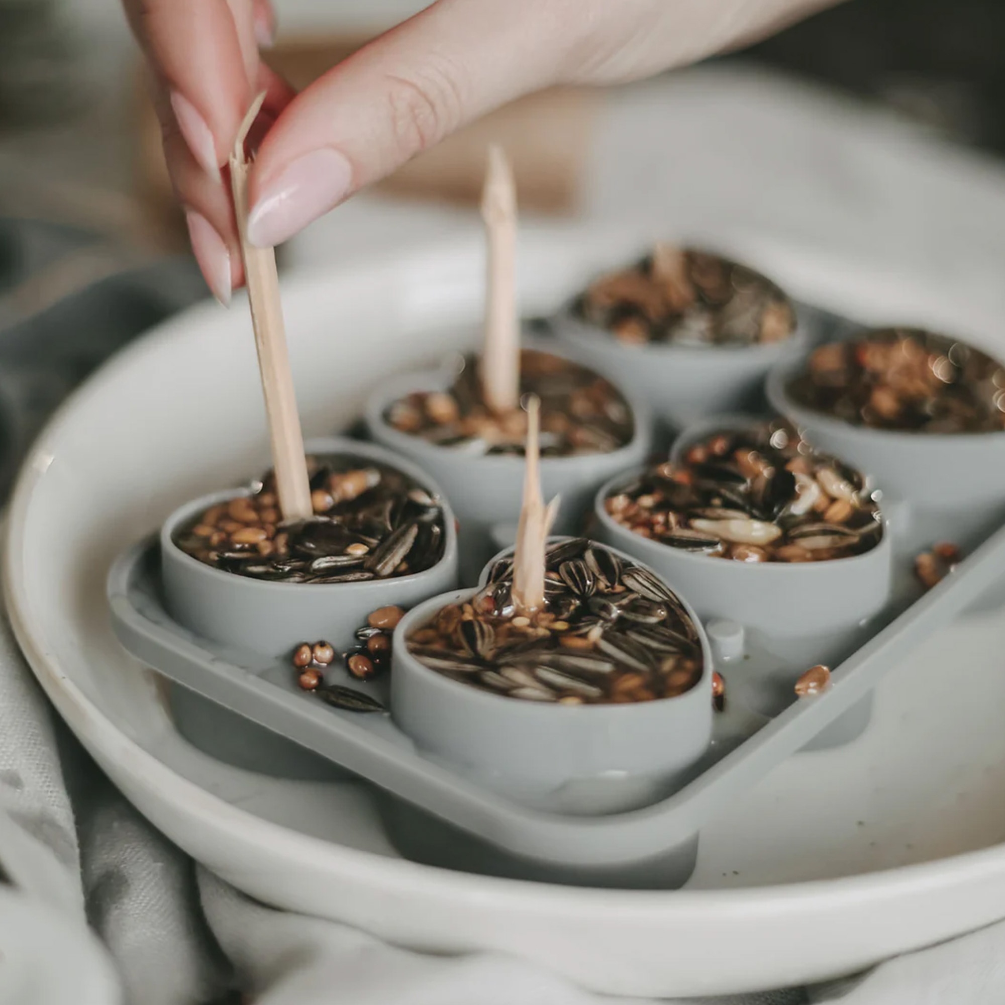 Saatgutvorbereitung, Samen in Behälter, Küchenzubehör, Pflanzstarter, Saatgutshow