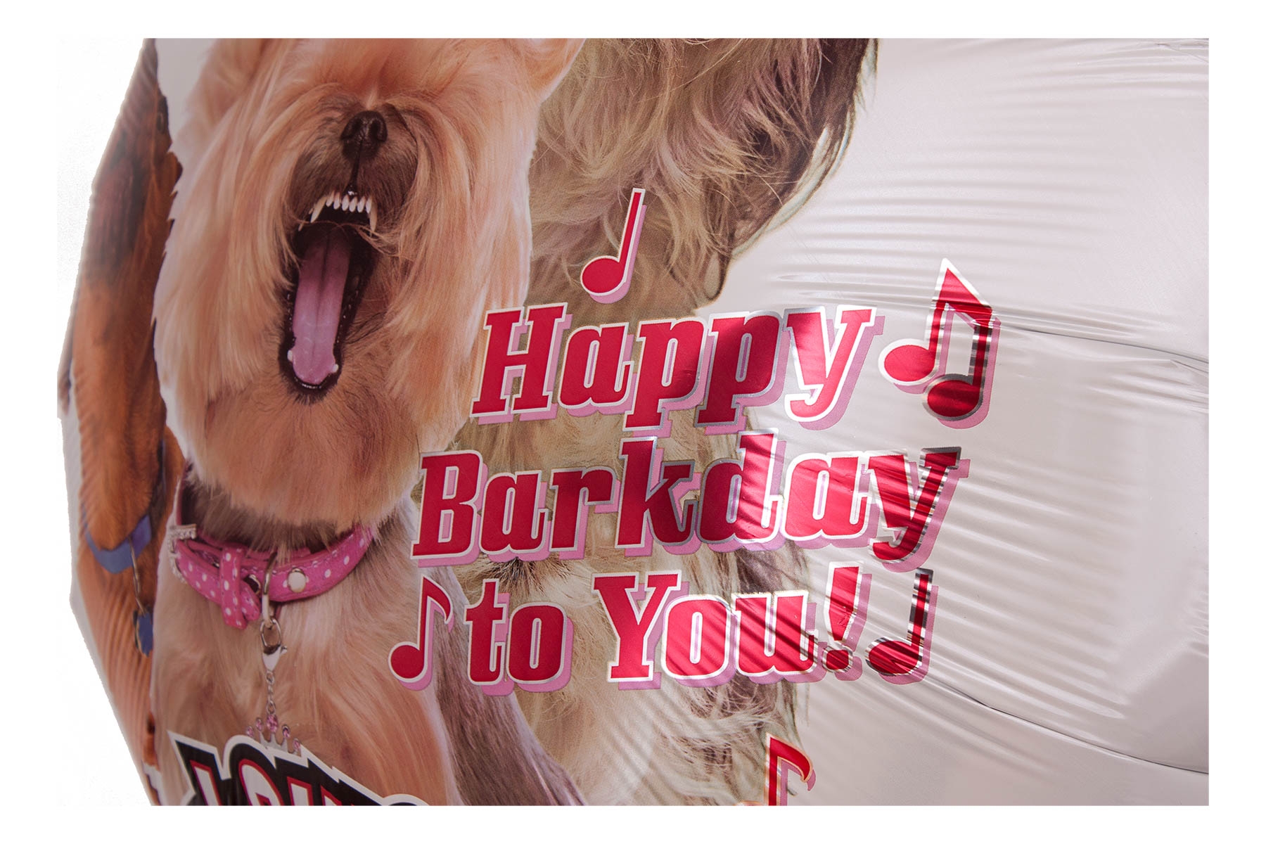 Musikballon Bellende Hunde zum Geburtstag 71cm