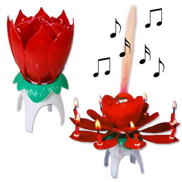 Geburtstagsfontäne Blume mit Musik