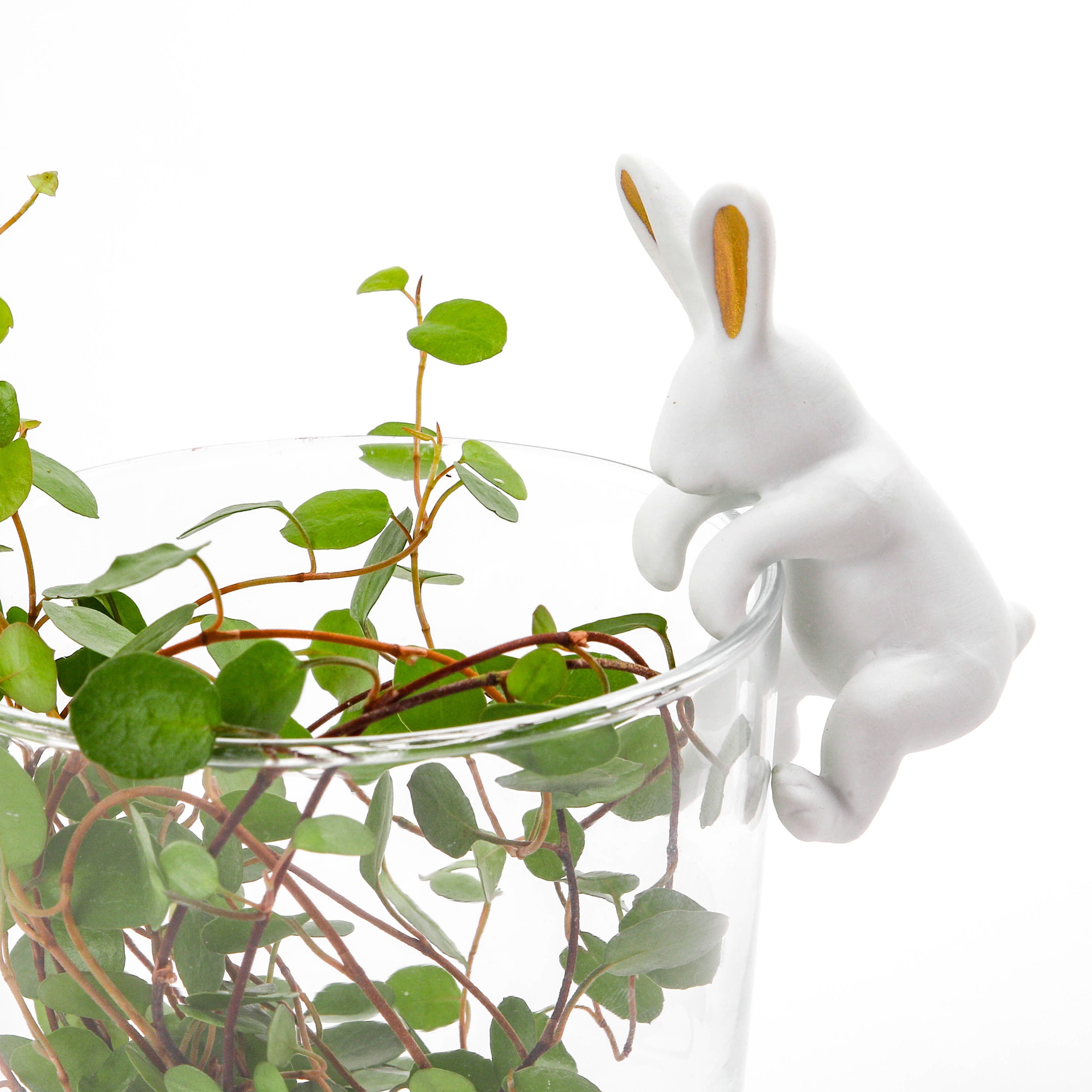 Porzellan Kletterhase "Goldohr" Porzellan Kletterhase "Goldohr"