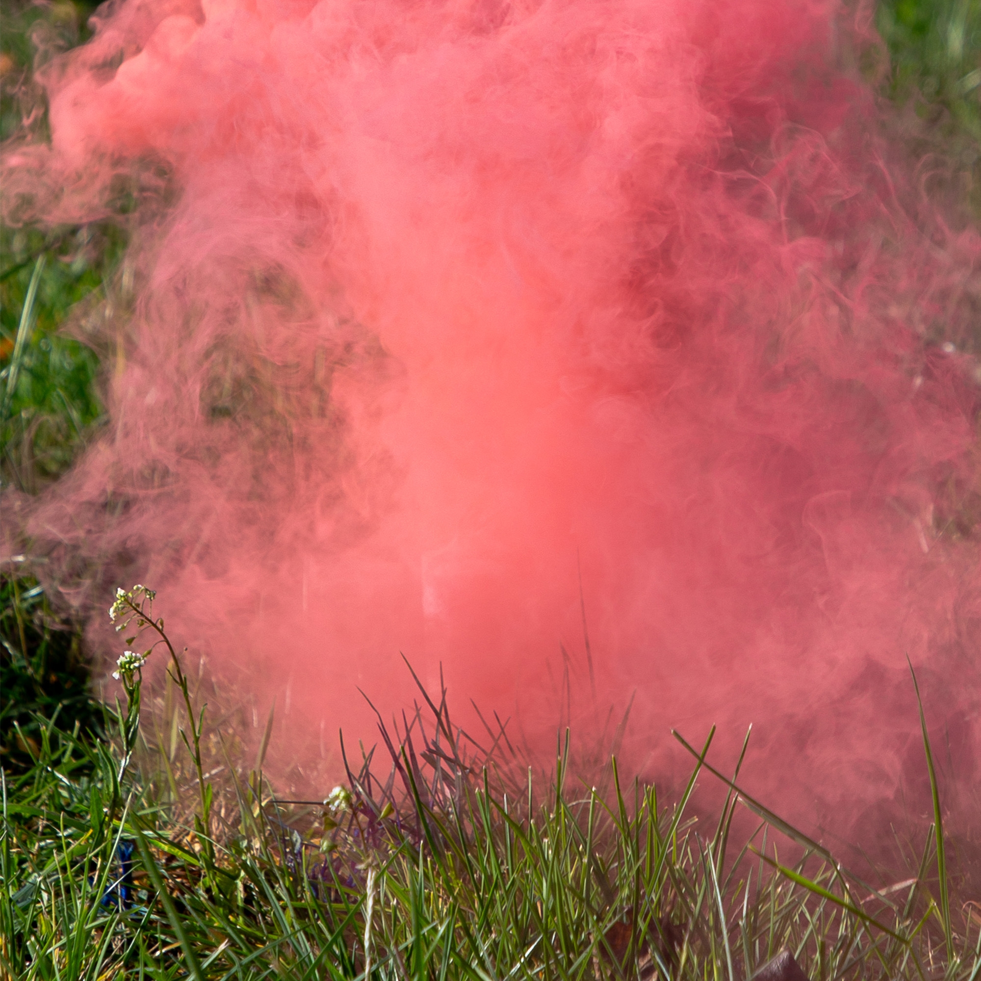 5er Set Rauchbomben "It´s a Girl" Rosa Rauch