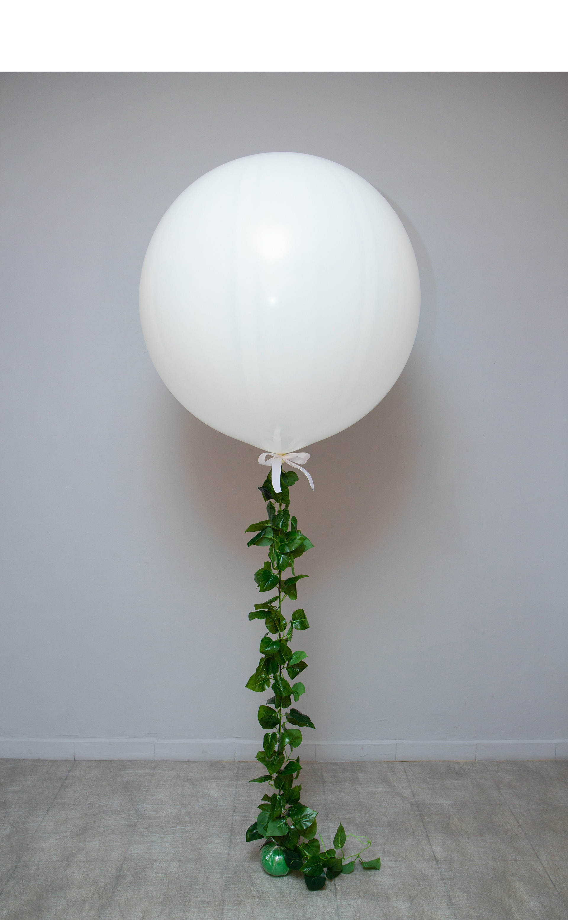Ballon, Pflanze