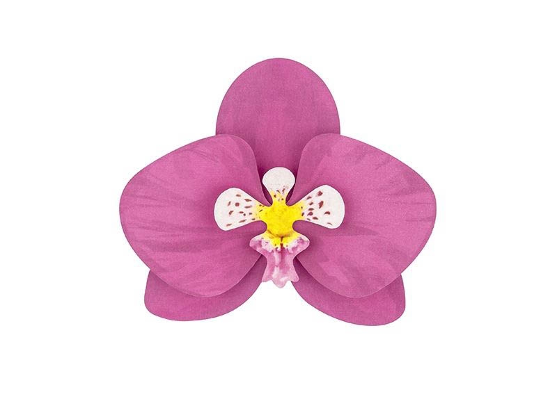 Aloha - DIY Bastelset Orchideen 36 tlg. Aloha - DIY Bastelset Orchideen 36 tlg.