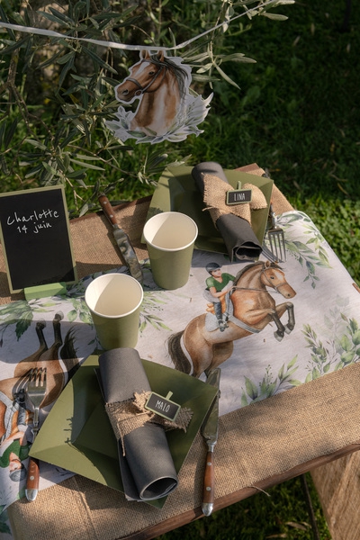 Pferde Party - Tischläufer 5m Pferde Party - Tischläufer 5m