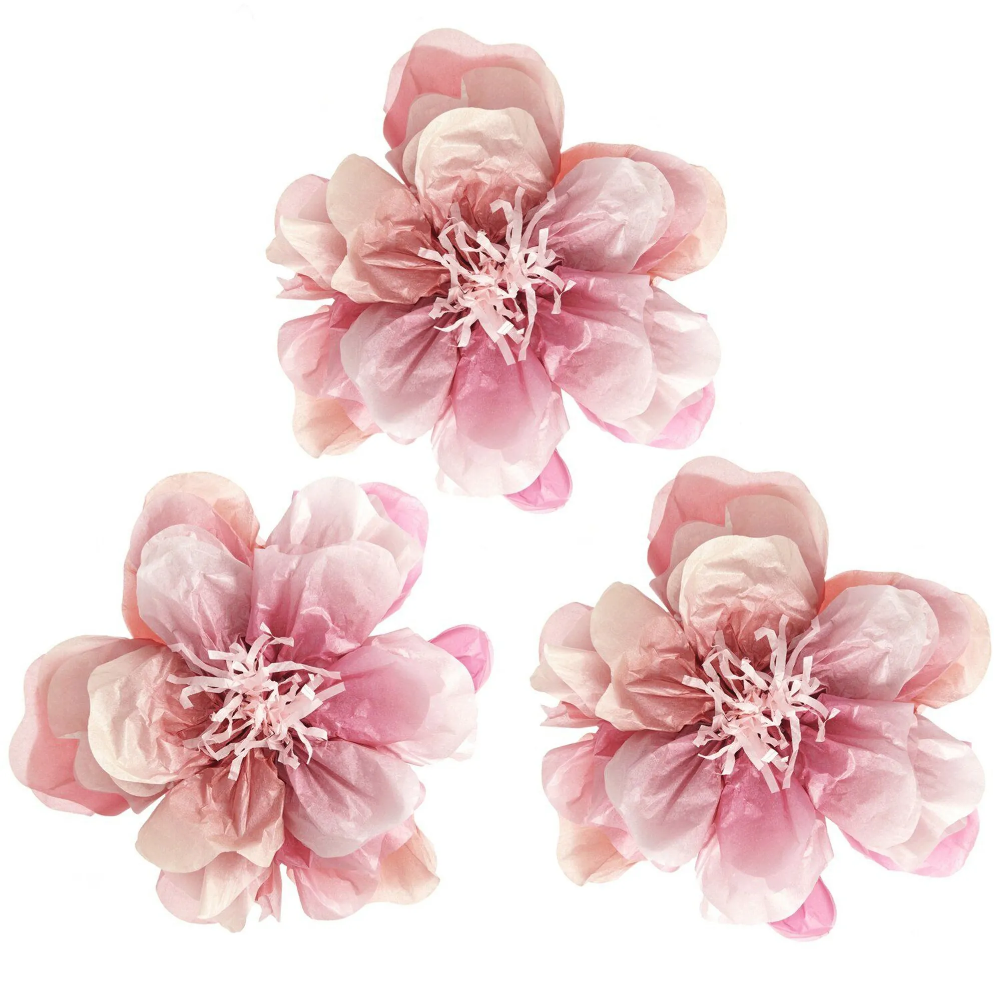 Blume, Dahlie, Rose, Blütenblatt, Zubehör