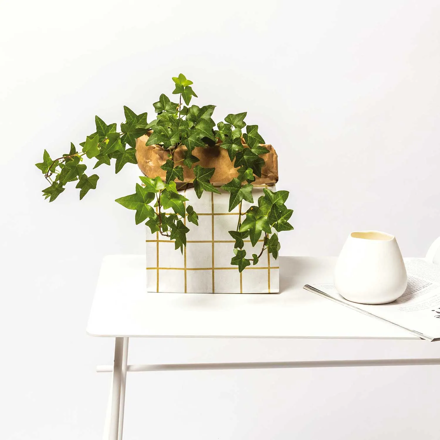 Blockbodenbeutel S - Gold / Weiß - 3 Stück