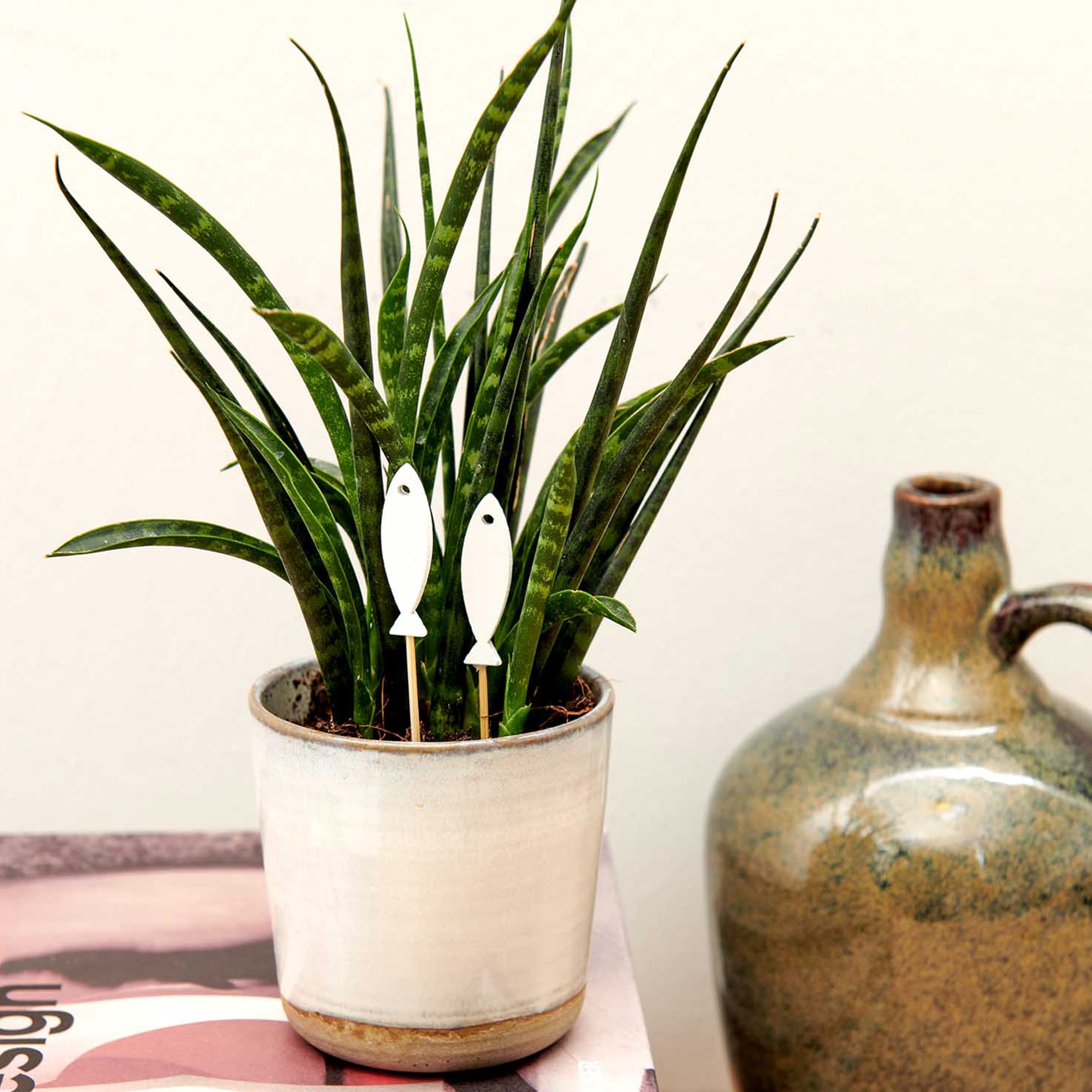 Deko-Picker "Weißer Fisch" 8 Stück Deko-Picker "Weißer Fisch" 8 Stück