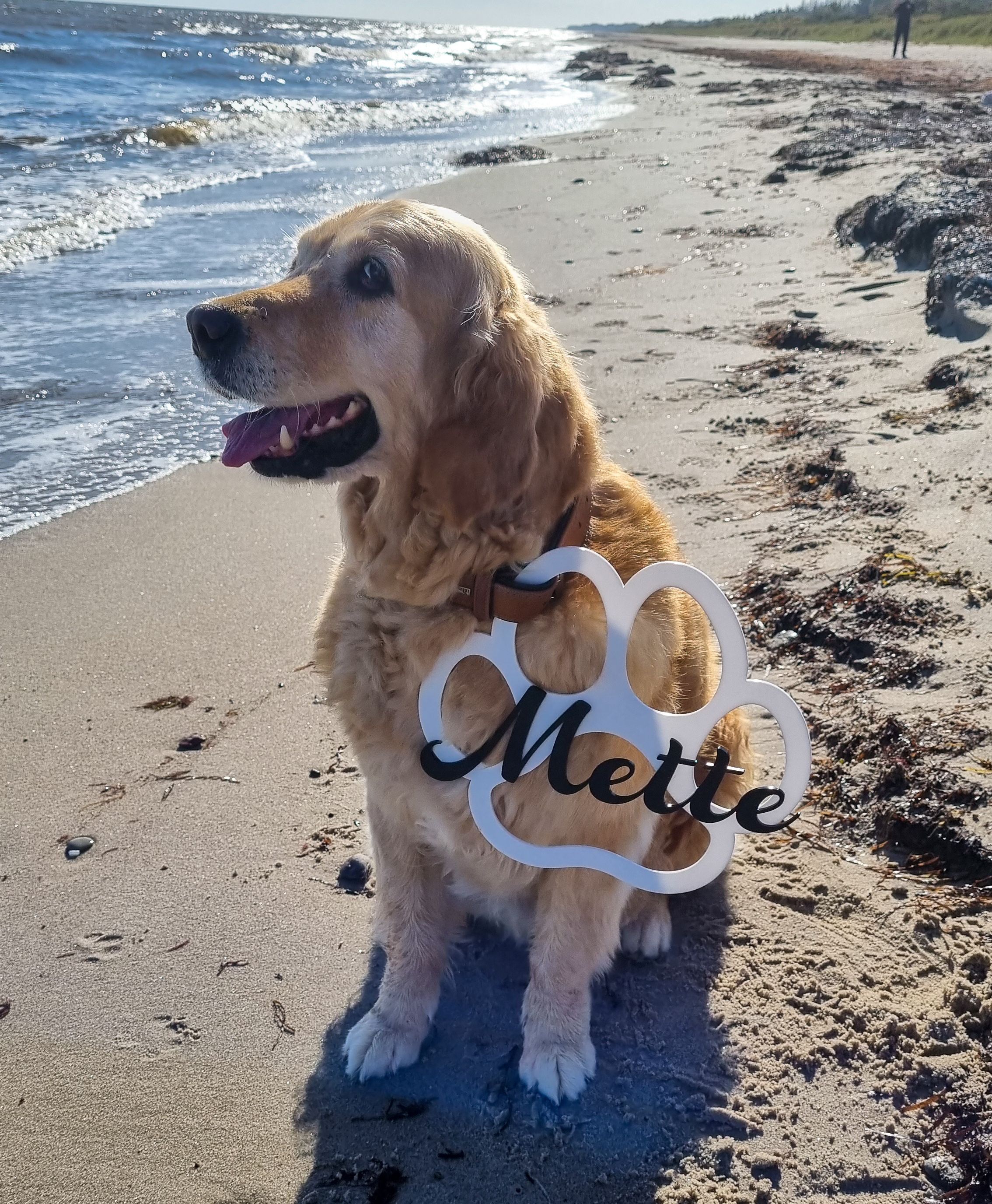 Schild Hundepfote "Name" aus Acryl 30cm x 27cm Schild Hundepfote "Name" aus Acryl 30cm x 27cm