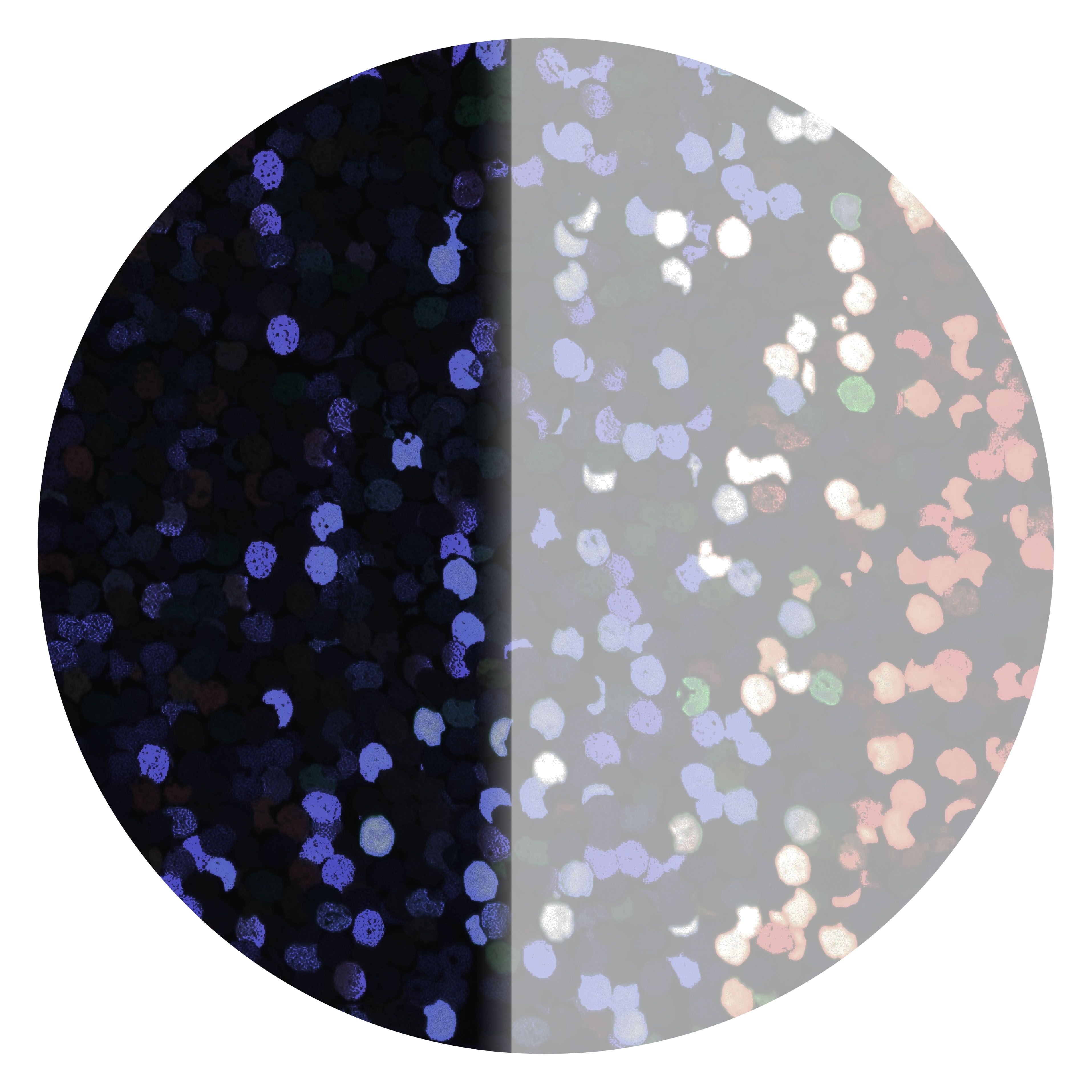 Folienkonfetti 2cm Rund 100g Holo Schwarz Folienkonfetti 2cm Rund 100g Holo Schwarz