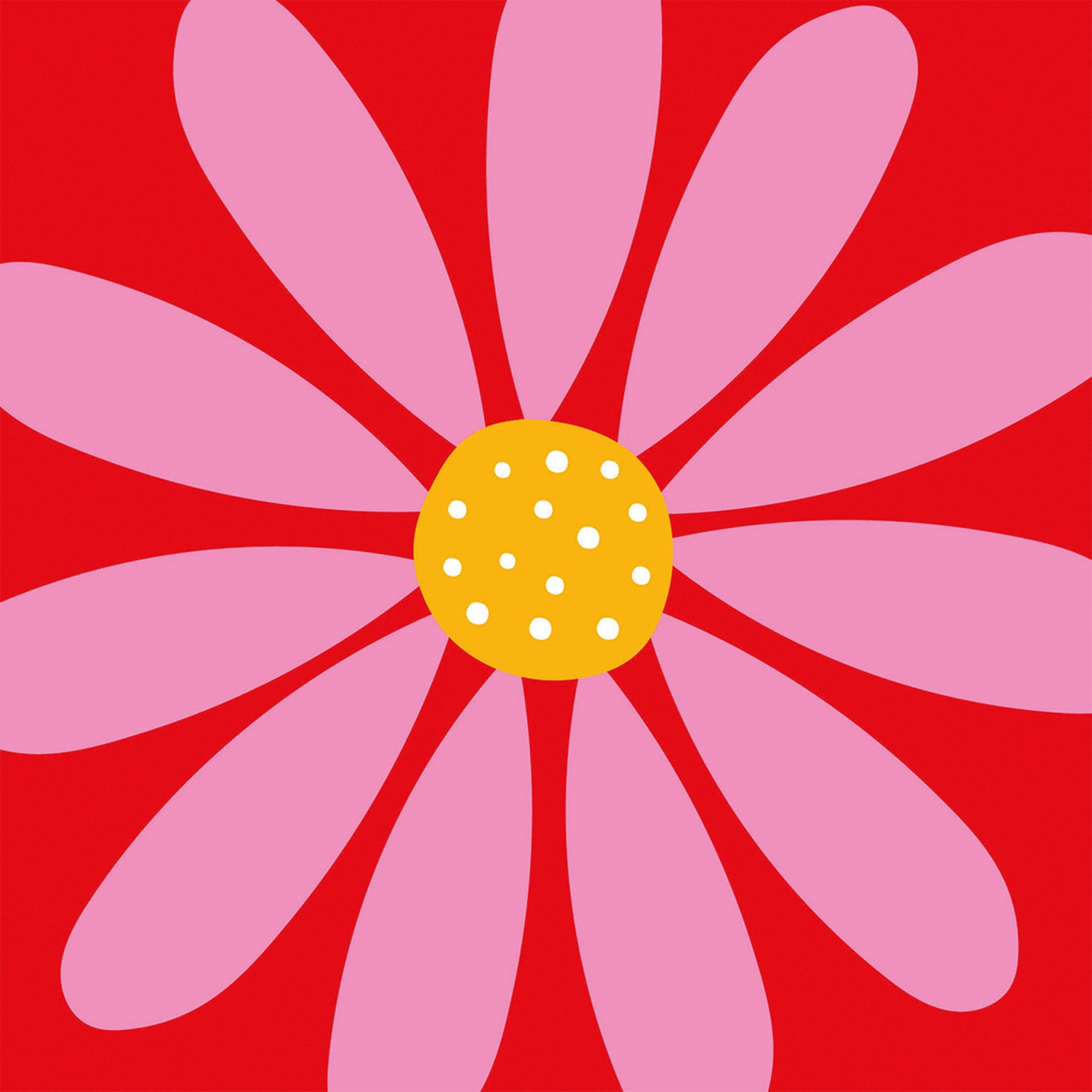 Gänseblümchen, Blume, Pflanze, Muster, Blütenblatt