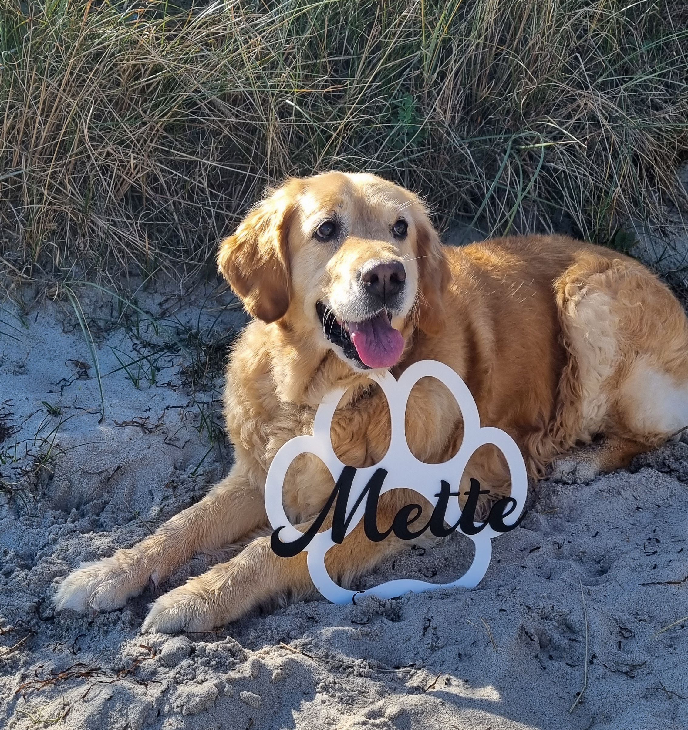 Schild Hundepfote "Name" aus Acryl 30cm x 27cm Schild Hundepfote "Name" aus Acryl 30cm x 27cm