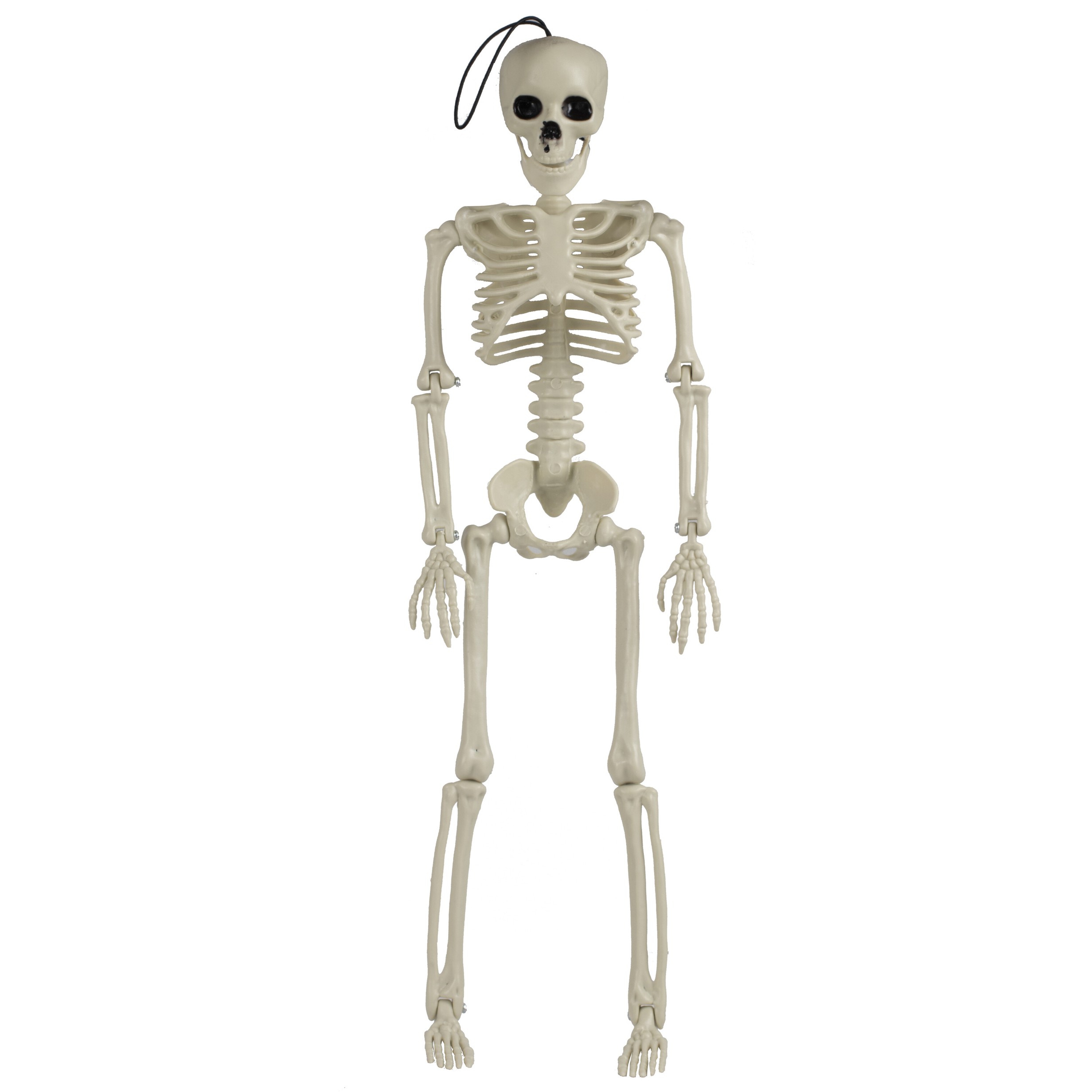 Hängendes Skelett zu Halloween