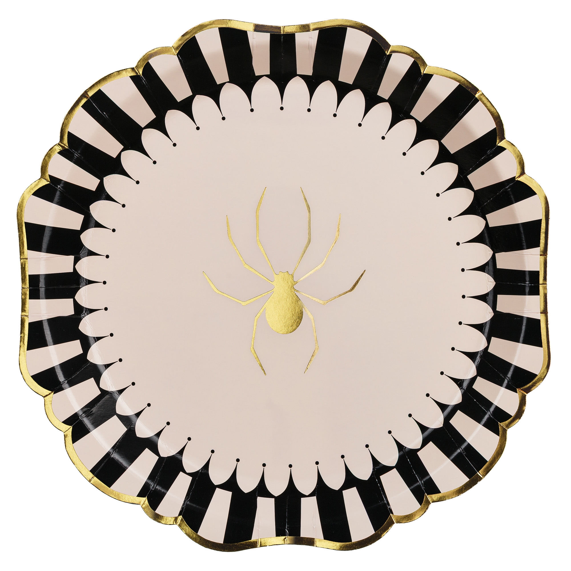 Tier, Wirbelloses Tier, Spinne, Gartenspinne, Insekt