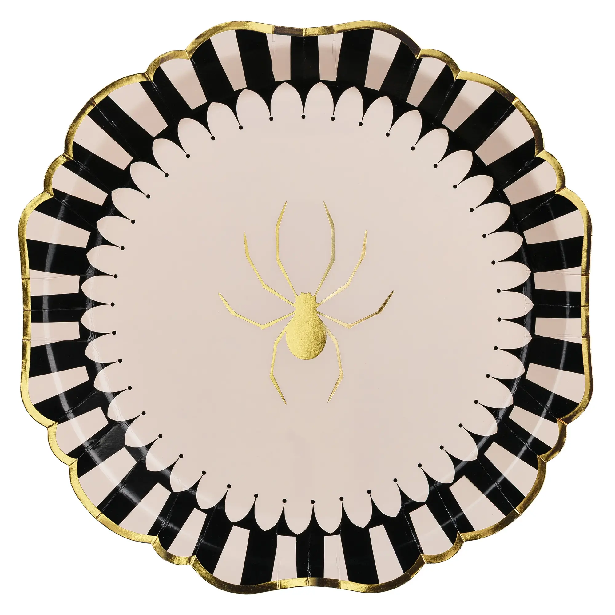 Tier, Wirbelloses Tier, Spinne, Gartenspinne, Insekt