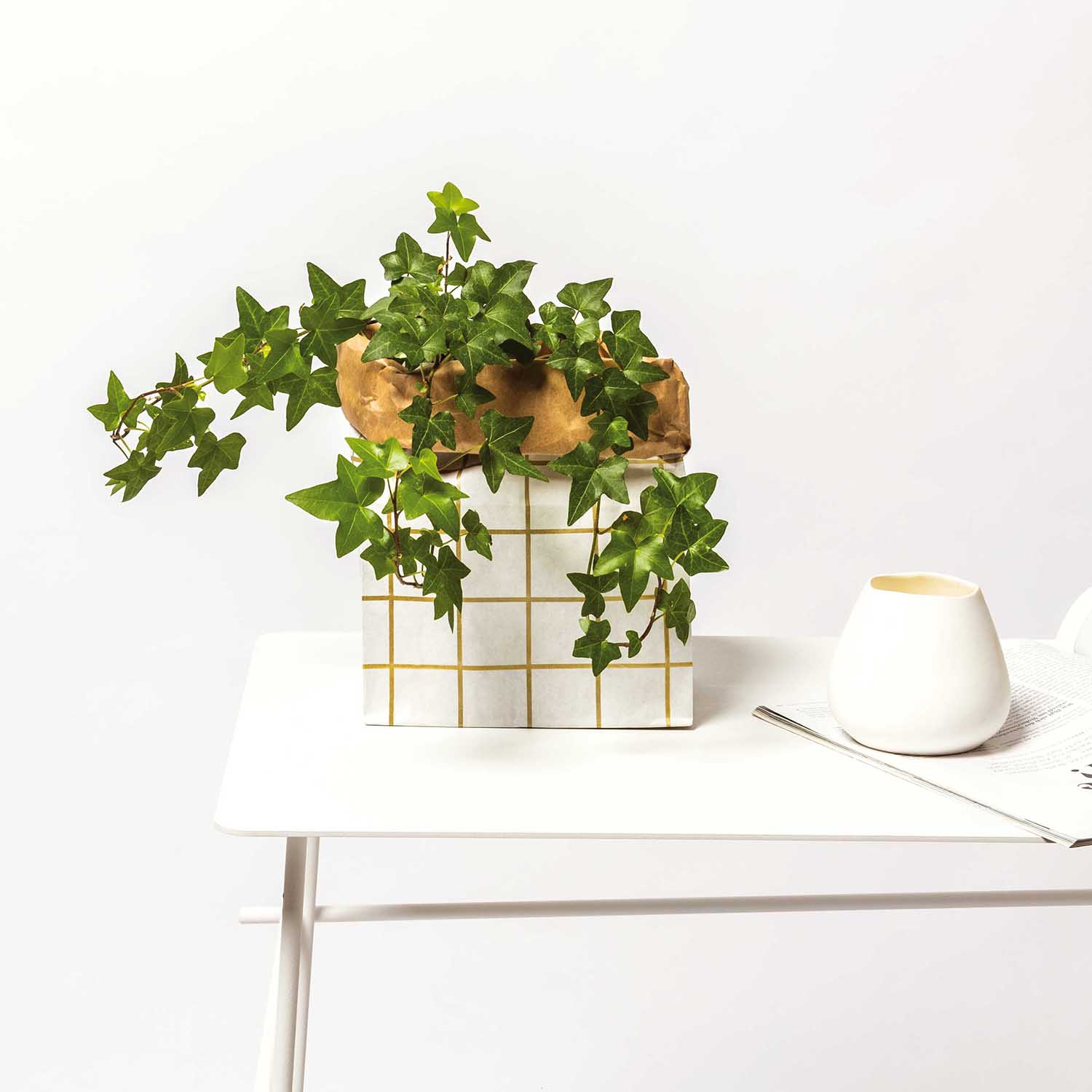 Blockbodenbeutel S - Pink / Weiß - 3 Stück Blockbodenbeutel S - Pink / Weiß - 3 Stück