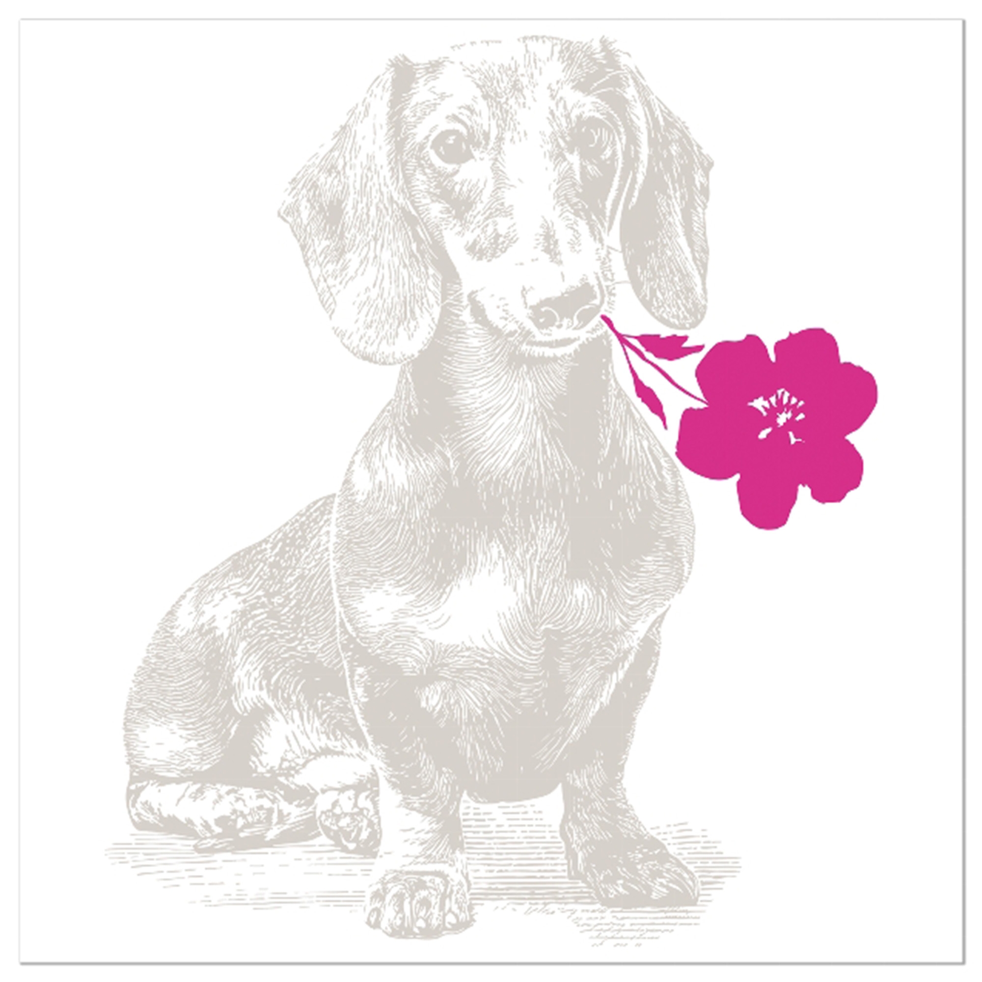 20 Servietten "Dackel" Taupe Blume, Hund, Geranie, Blütenblatt, Kunst