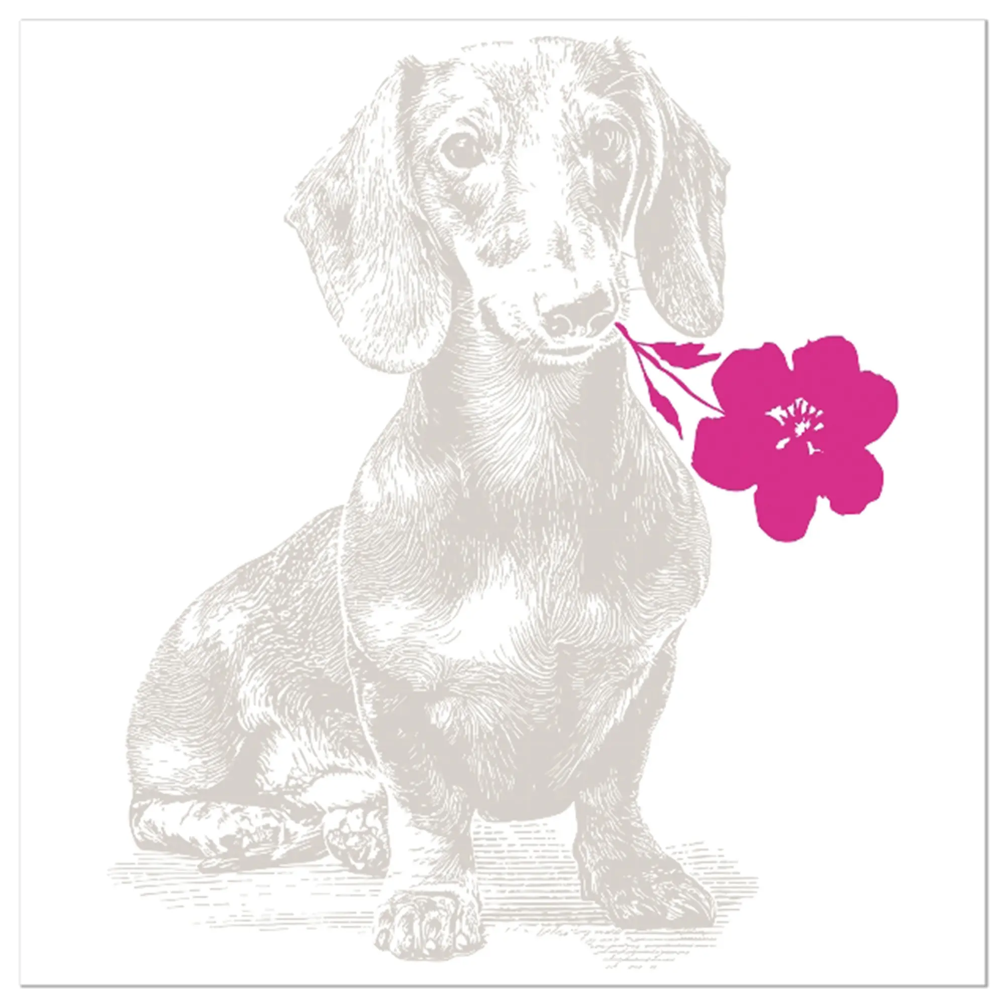 Blume, Hund, Geranie, Blütenblatt, Kunst