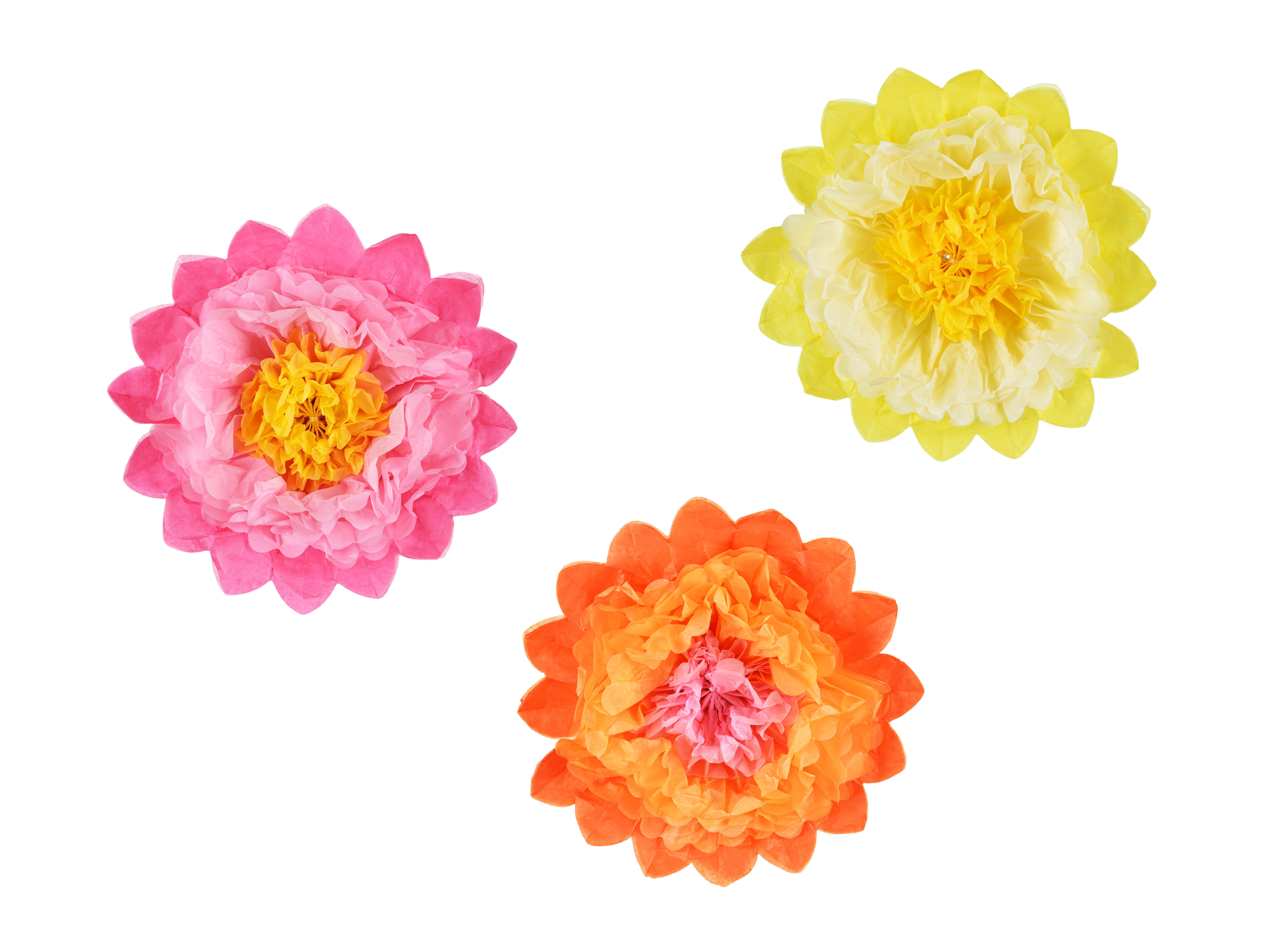 3 Seidenpapierblumen 3 Seidenpapierblumen
