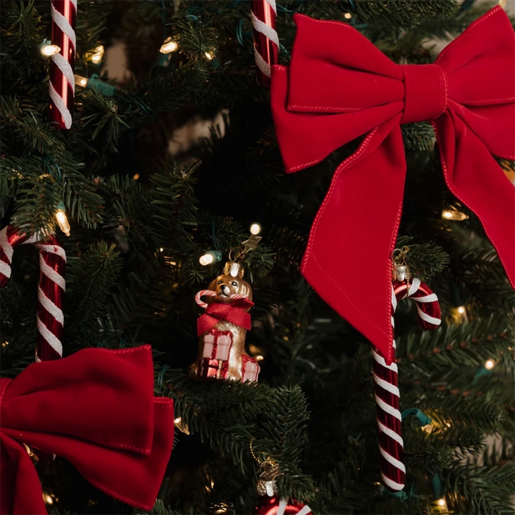 Weihnachtsbaum, Lichterkette, Rote Schleife, Weihnachtsdeko, Candy Cane
