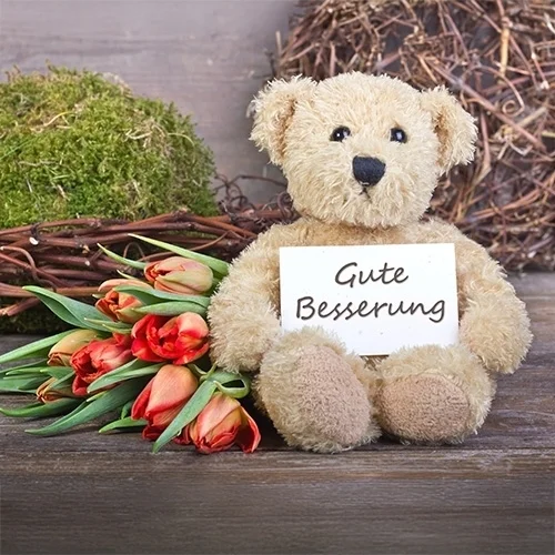 Teddy-Bär, Plüschfigur, Blumen, Karte, Geburtstagsgruß