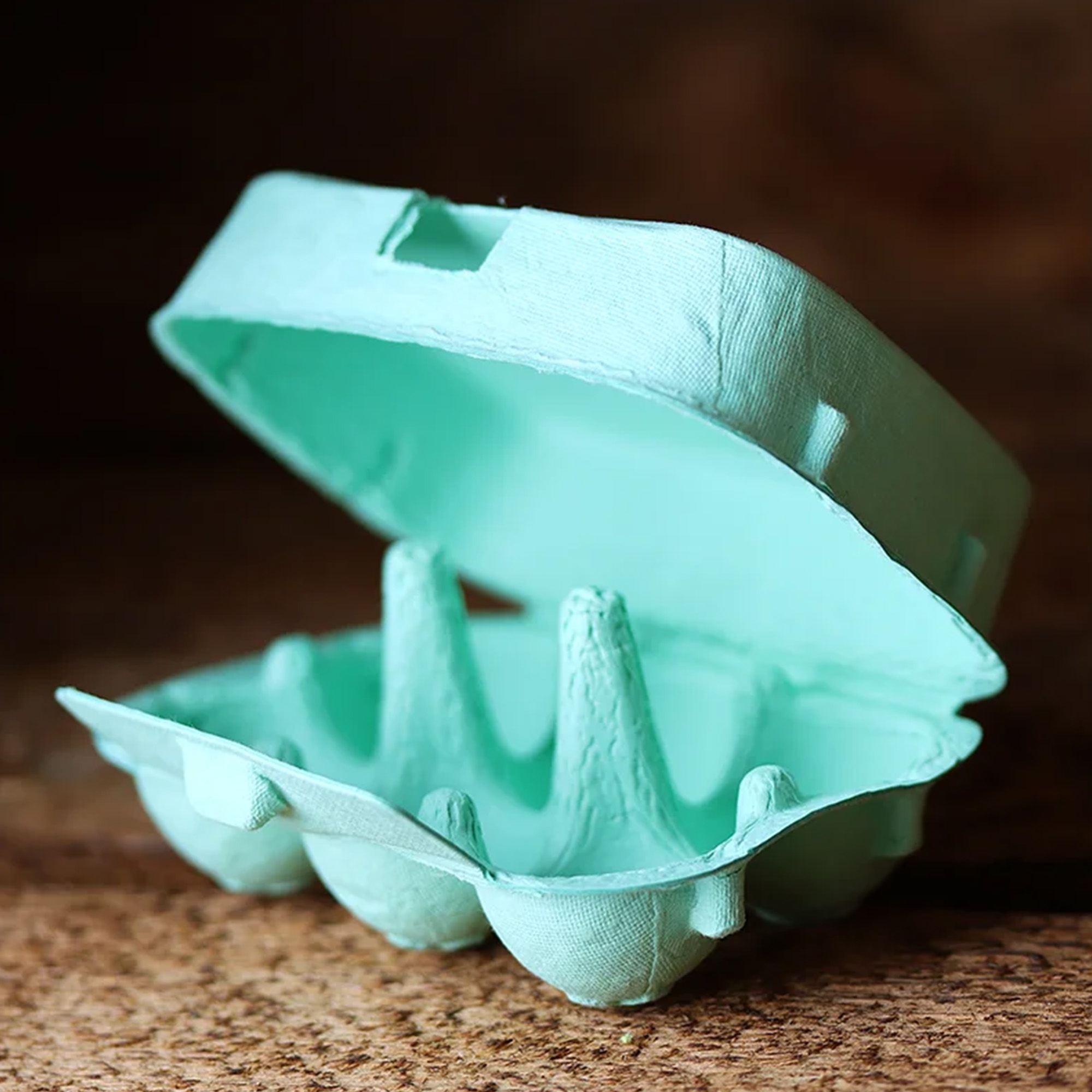 6er Eierkarton in Mint 6er Eierkarton in Mint