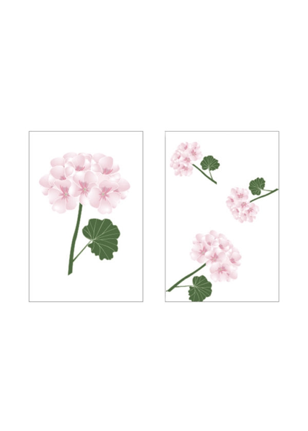 Storefactory - Pelargon Streichhözer Blume Storefactory - Pelargon Streichhözer Blume