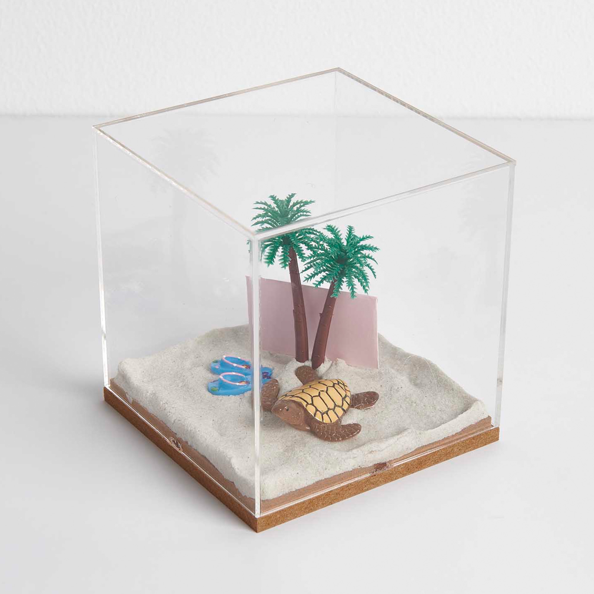 d1cf21e9c8e960326ab20cdd581bdecf0c02e4bf Miniatur "Palmen" für die Wichteltür