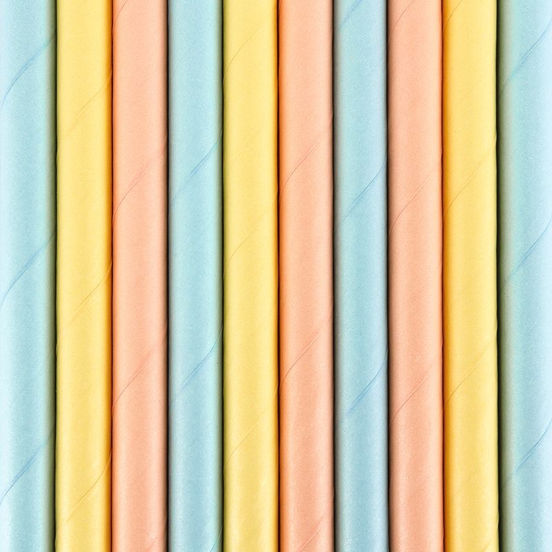 10 Papierstrohhalme "Summertime"