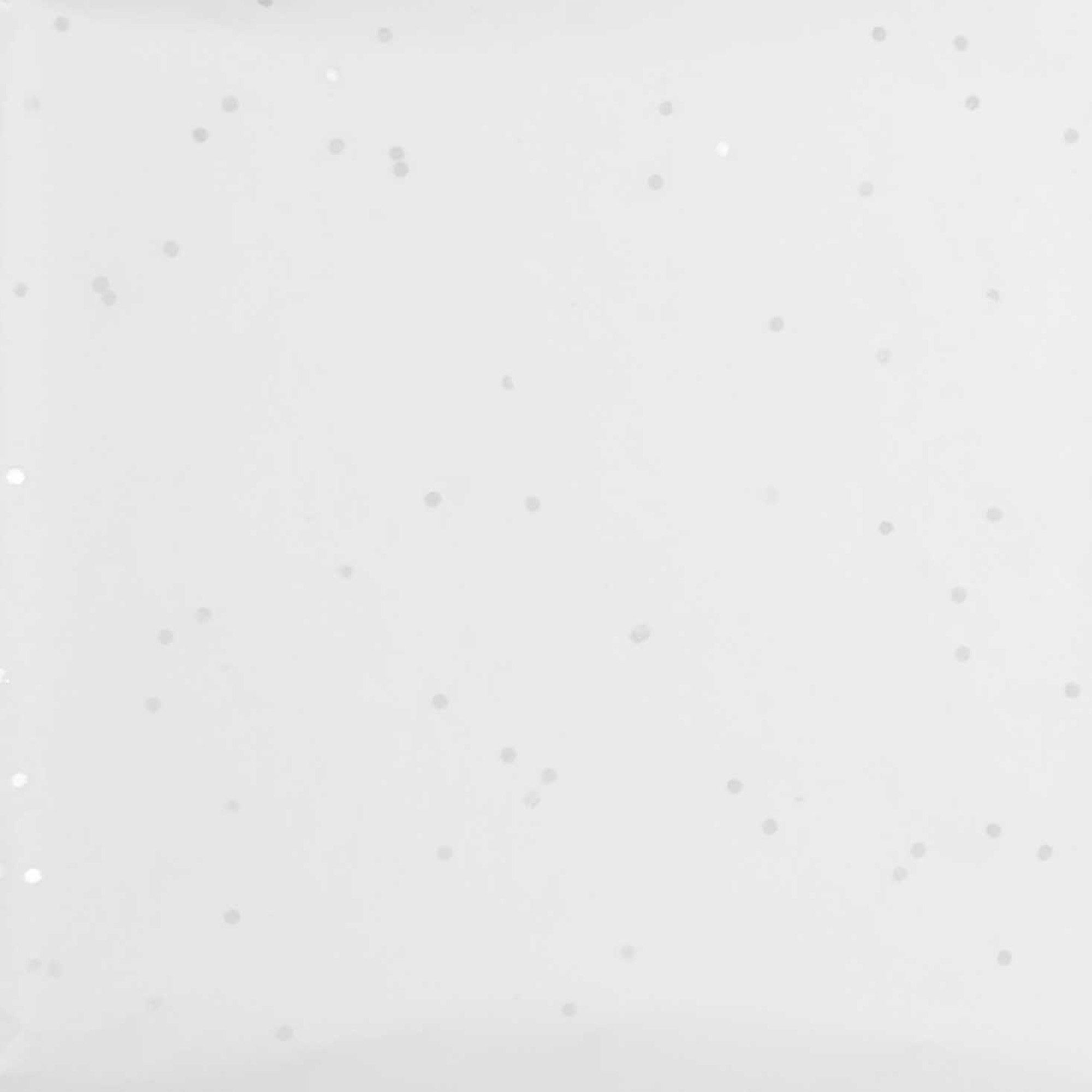 Seidenpapier Weiß Irisierend, 5 Bögen Seidenpapier Weiß Irisierend, 5 Bögen