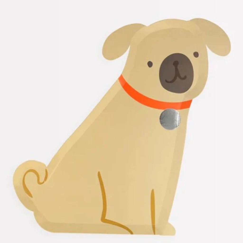 Hund, Spielzeug, Collie, Kette, Knochen