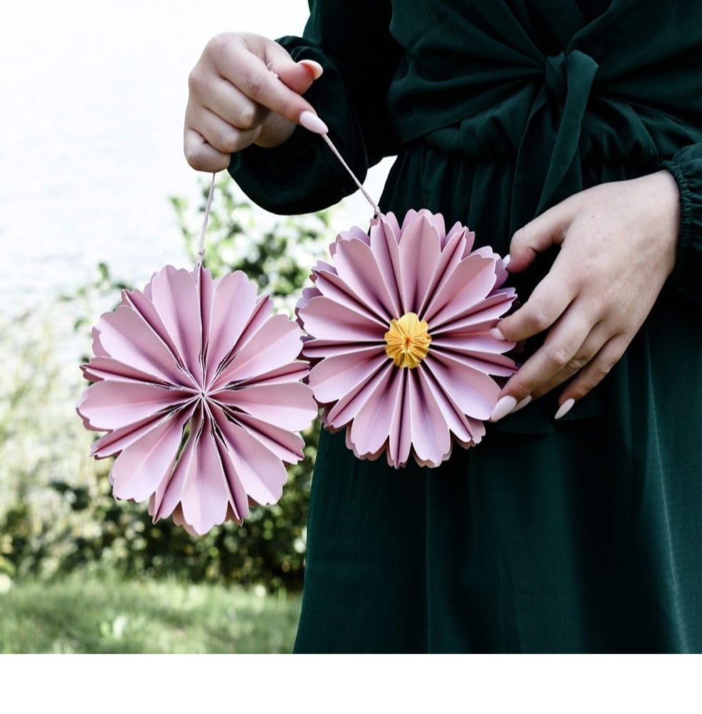 Gänseblümchen, Erwachsener, Weiblich, Person, Frau
