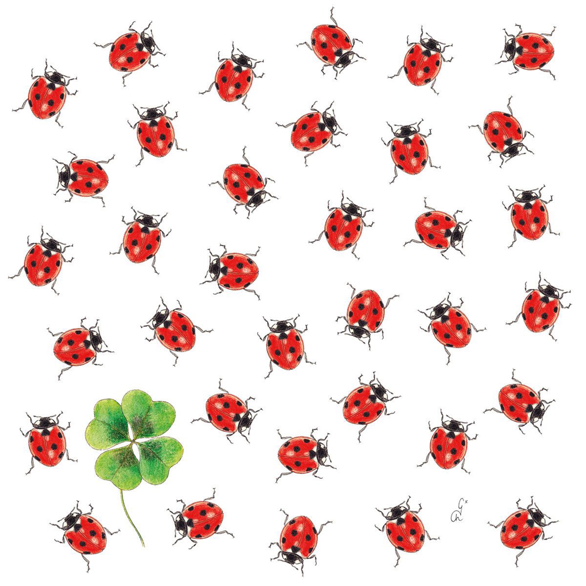 20 Servietten "Marienkäfer" 33x33cm Blatt, Pflanze, Tier, Insekt, Wirbellose