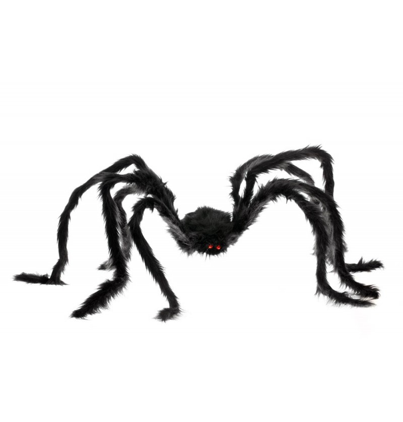 Riesen Spinne Riesen Spinne