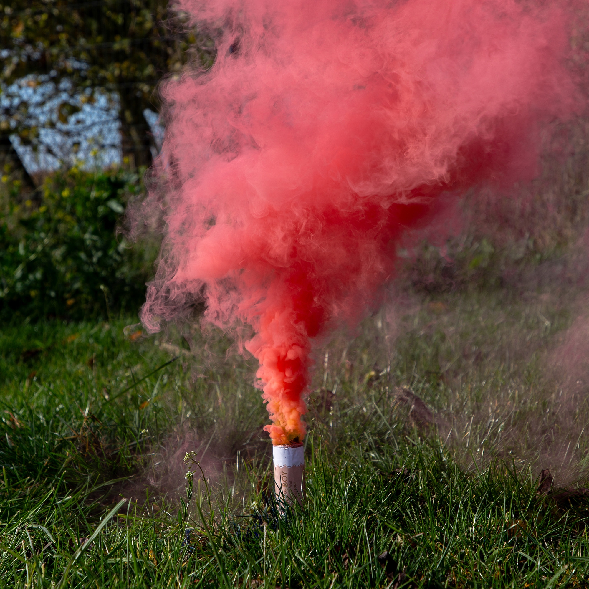 5er Set Rauchbomben "It´s a Girl" Rosa Rauch