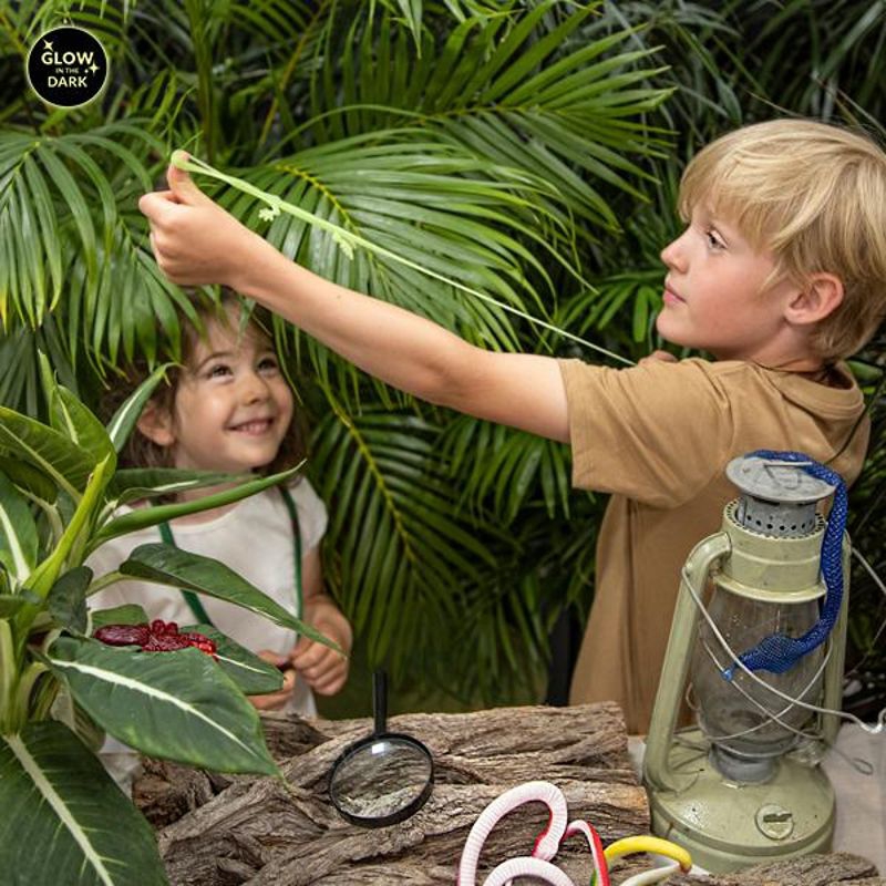 Echsen Schleuder Echsen Schleuder