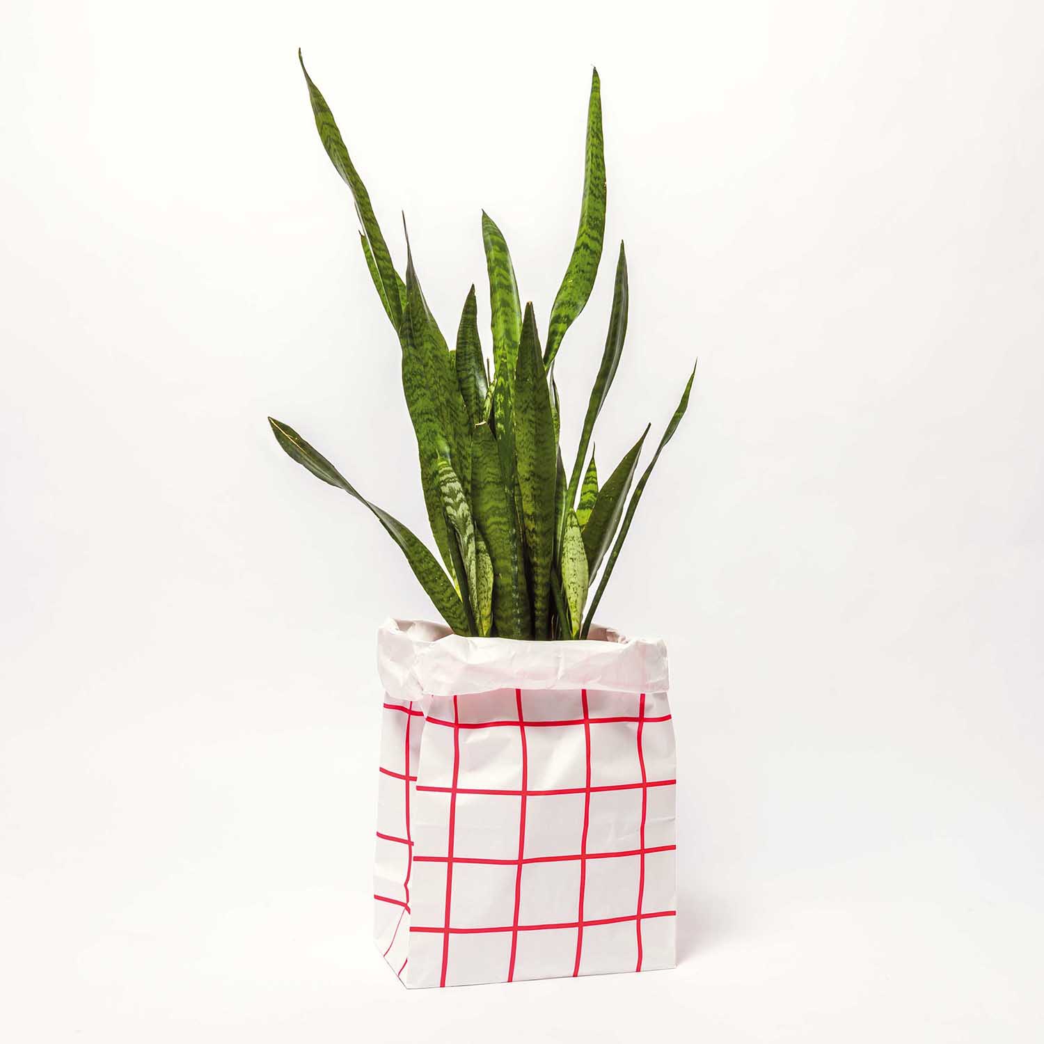 Blockbodenbeutel XL -Pink / Weiß - 1 Stück Blockbodenbeutel XL -Pink / Weiß - 1 Stück