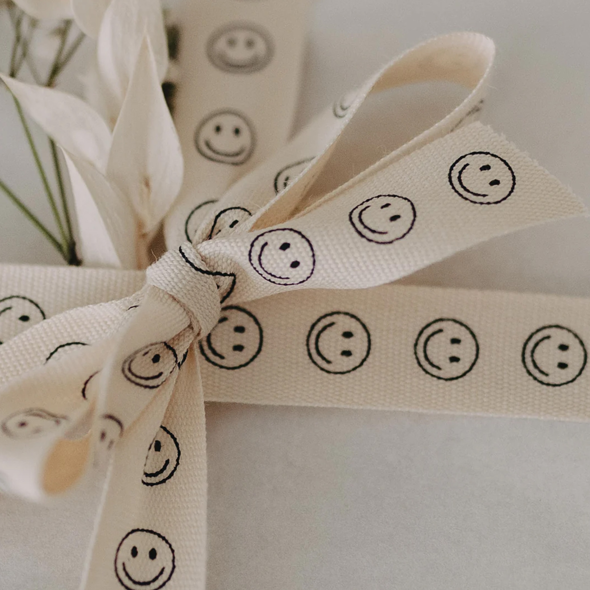 Eulenschnitt - Geschenkband "Smileys" 5 m band, smiley muster, Beige Band, Geschenkband, Stoffband