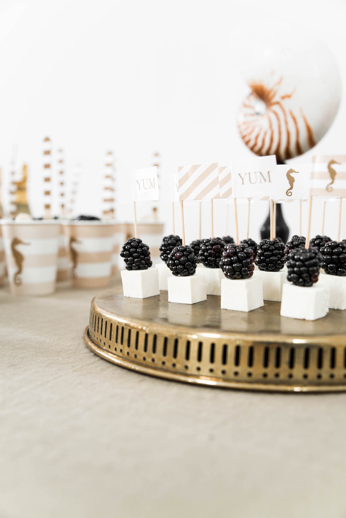 Seepferdchen - 40 Party Picker Seepferdchen - 40 Party Picker