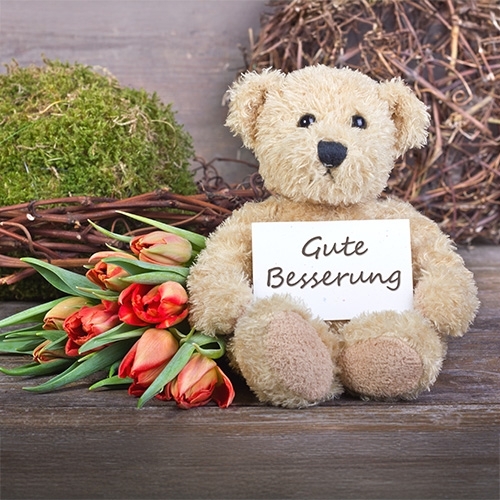 695cec8b2d285b8855c7e0879e774edeb651b794 Spielzeug, Teddybär