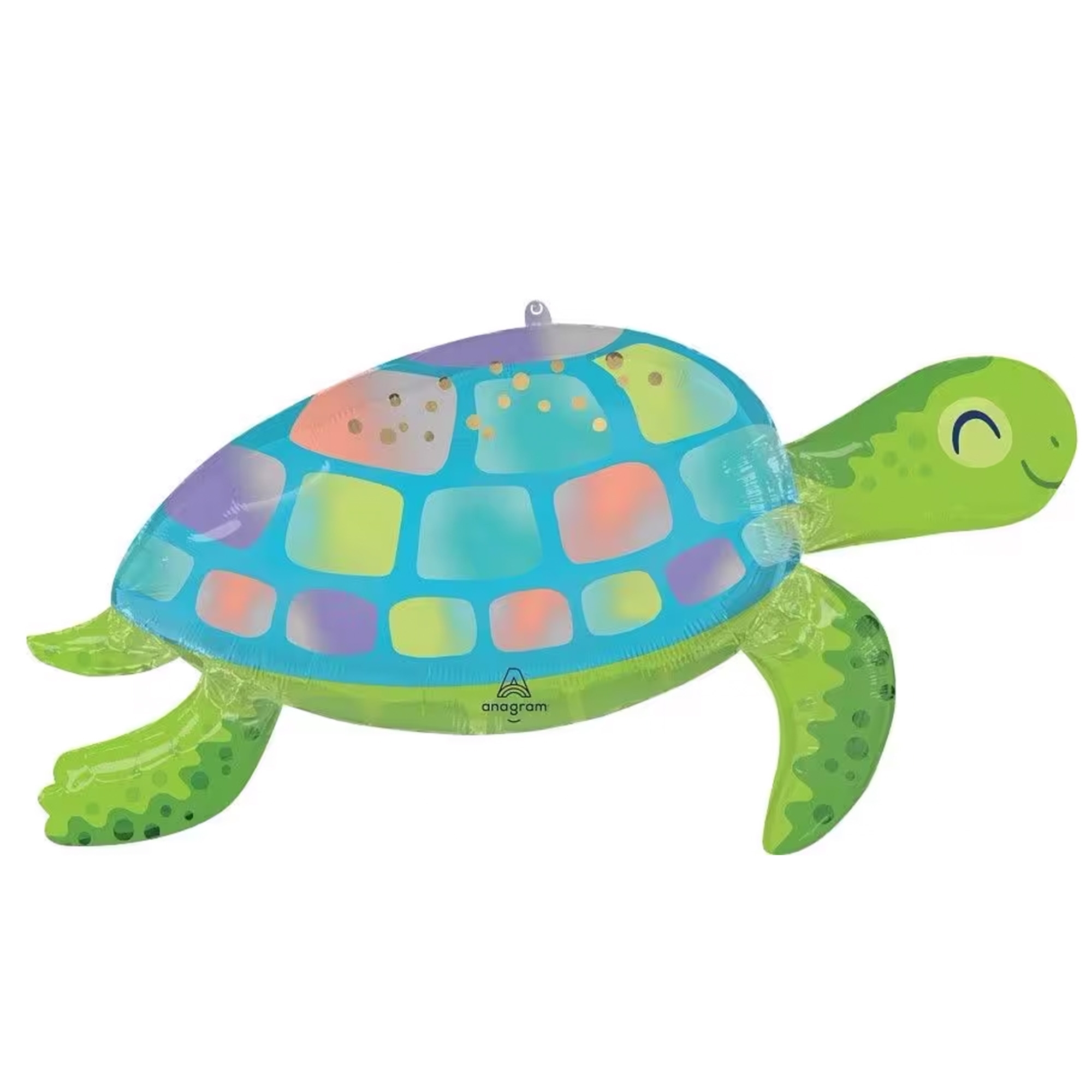 Tier, Reptil, Leben im Meer, Schildkröte