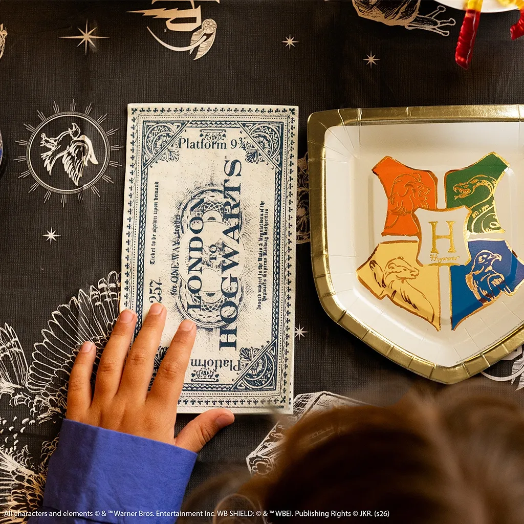 20 Servietten Harry Potter "Ticket London to Hogwarts"
