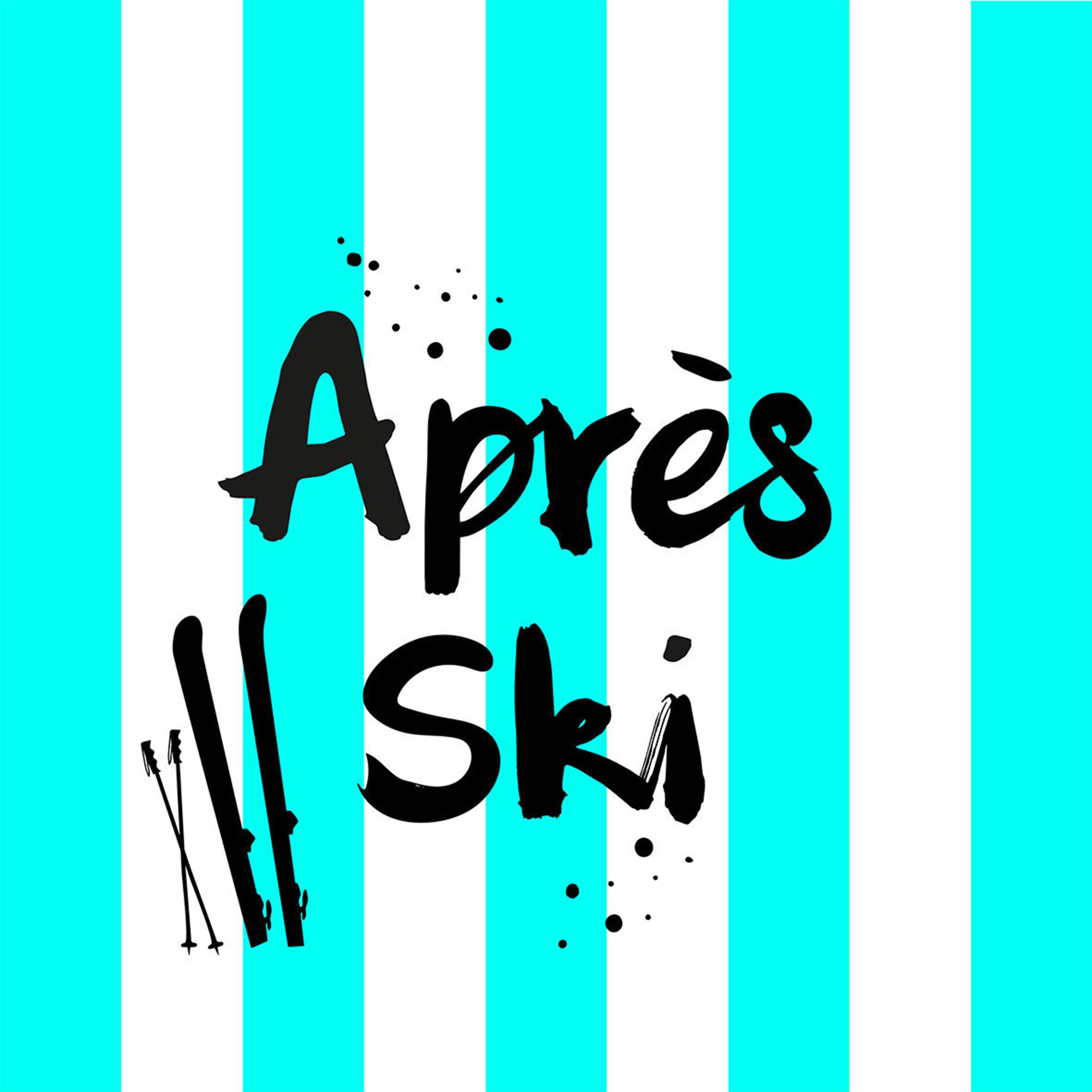 20 Servietten "Aprés Ski" 33x33cm Text
